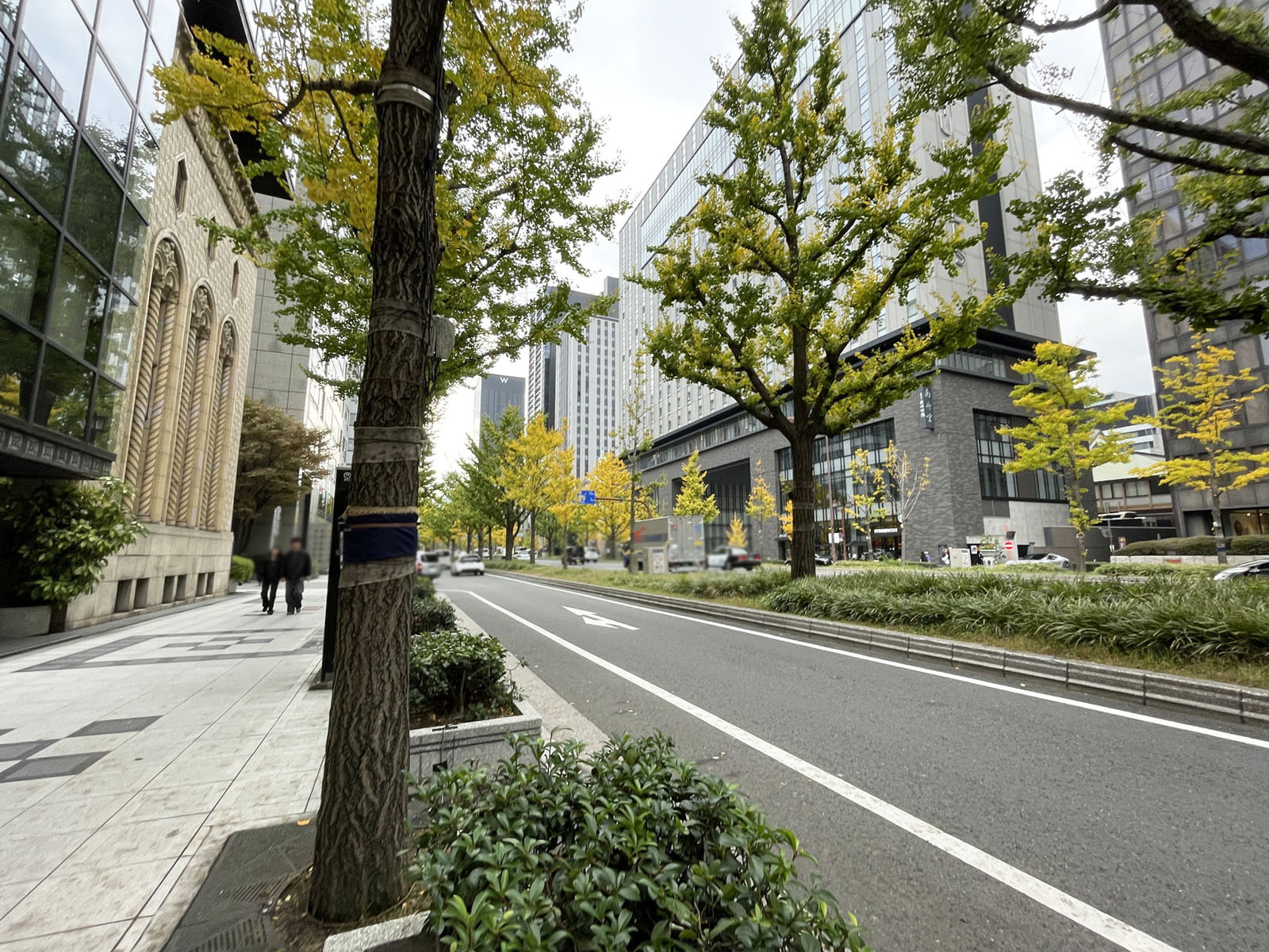 リバティ御堂筋本町前面の御堂筋