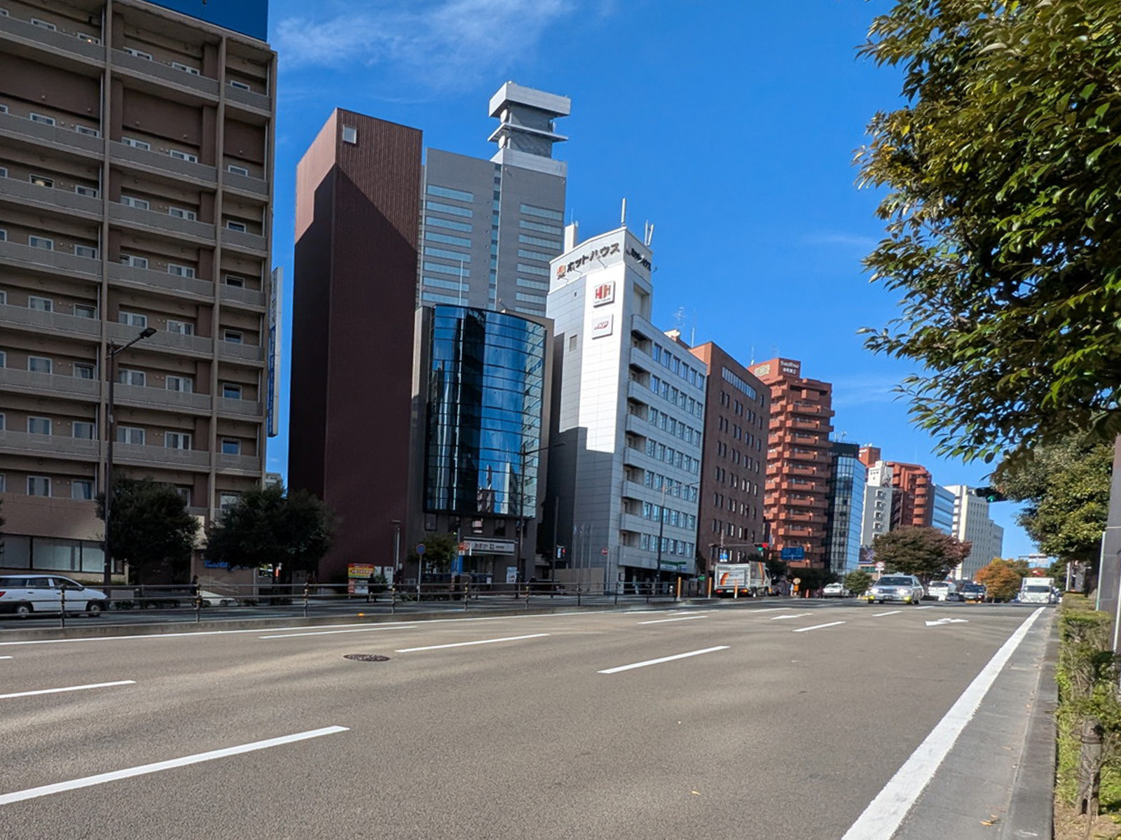 オークツリー花京院前面の通り