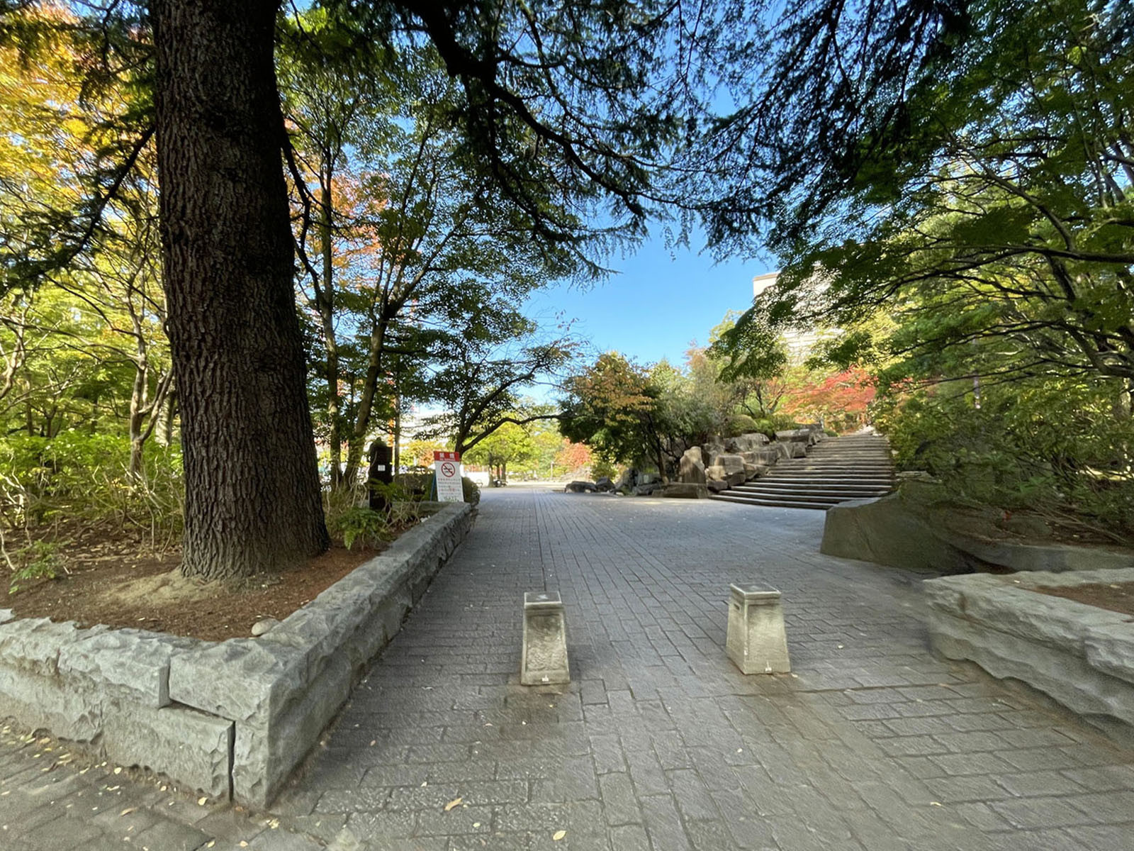 近くの勾当台公園