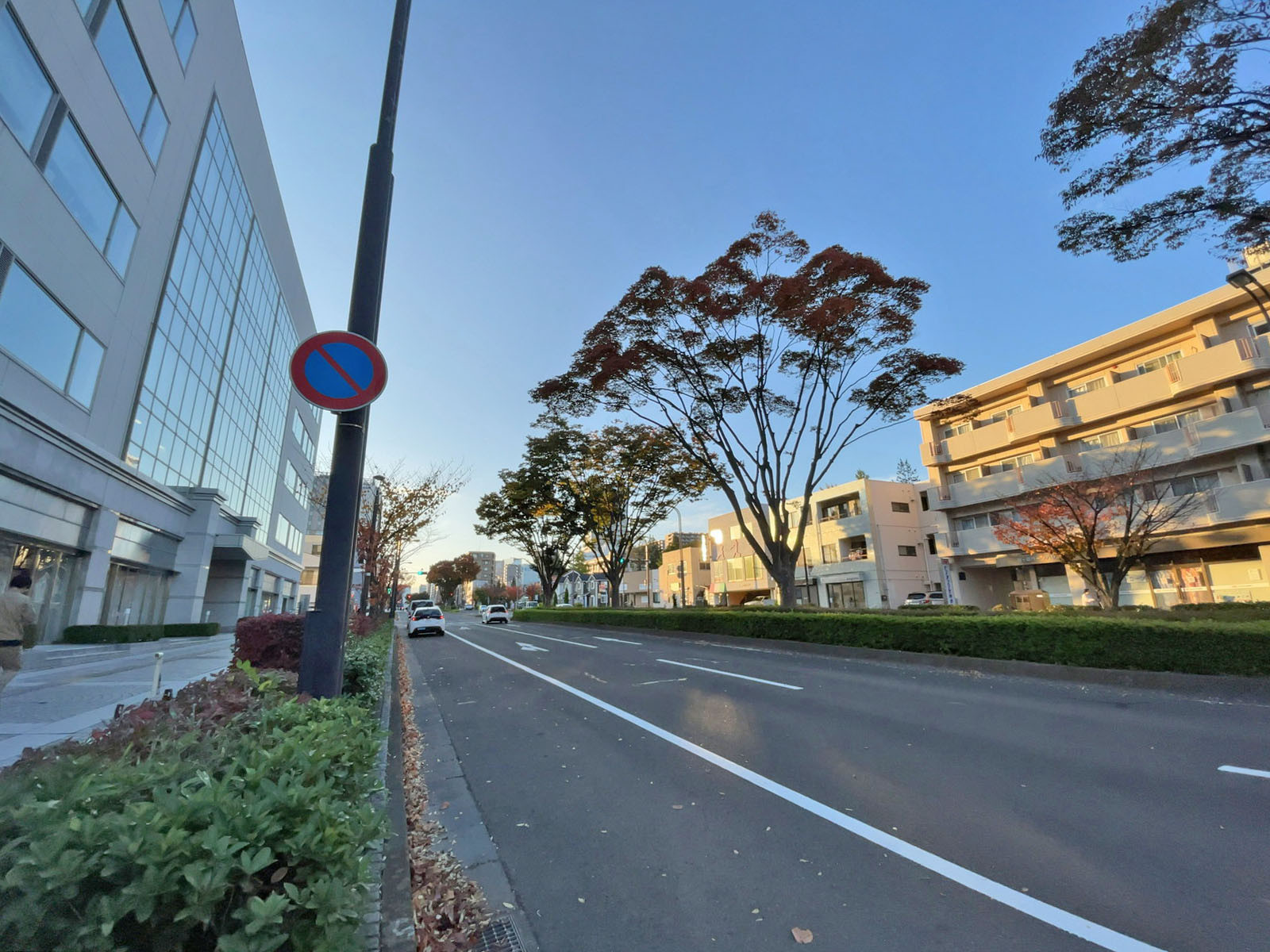 いちご仙台イーストビル前面の宮城野通