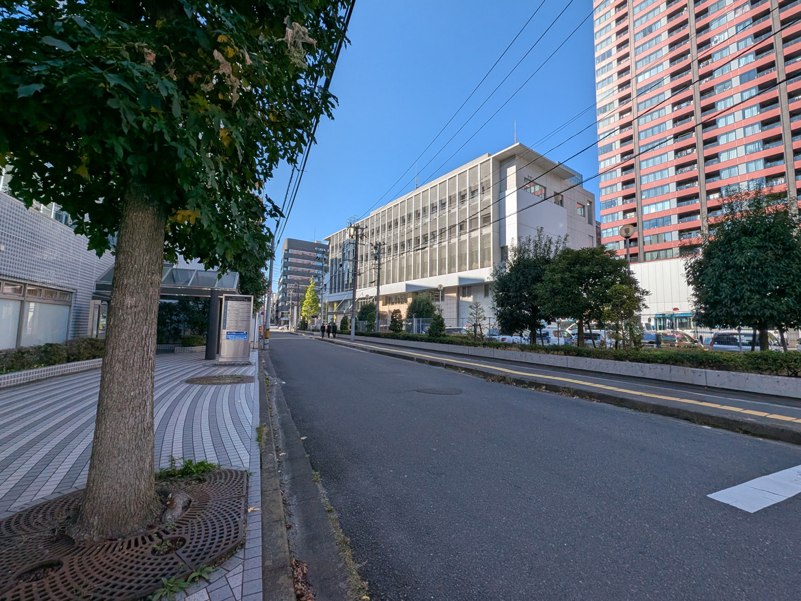 五橋ビジネスセンタービル前面の通り