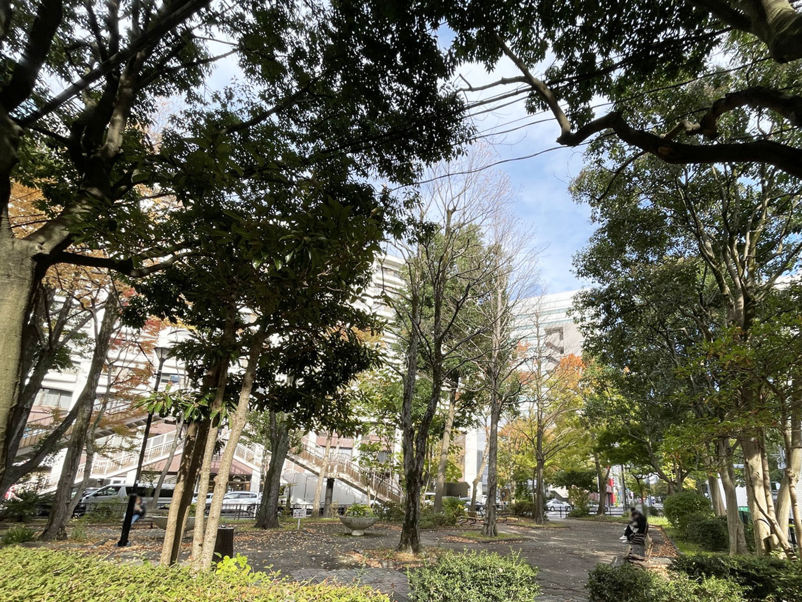 近くの片平さんかく公園