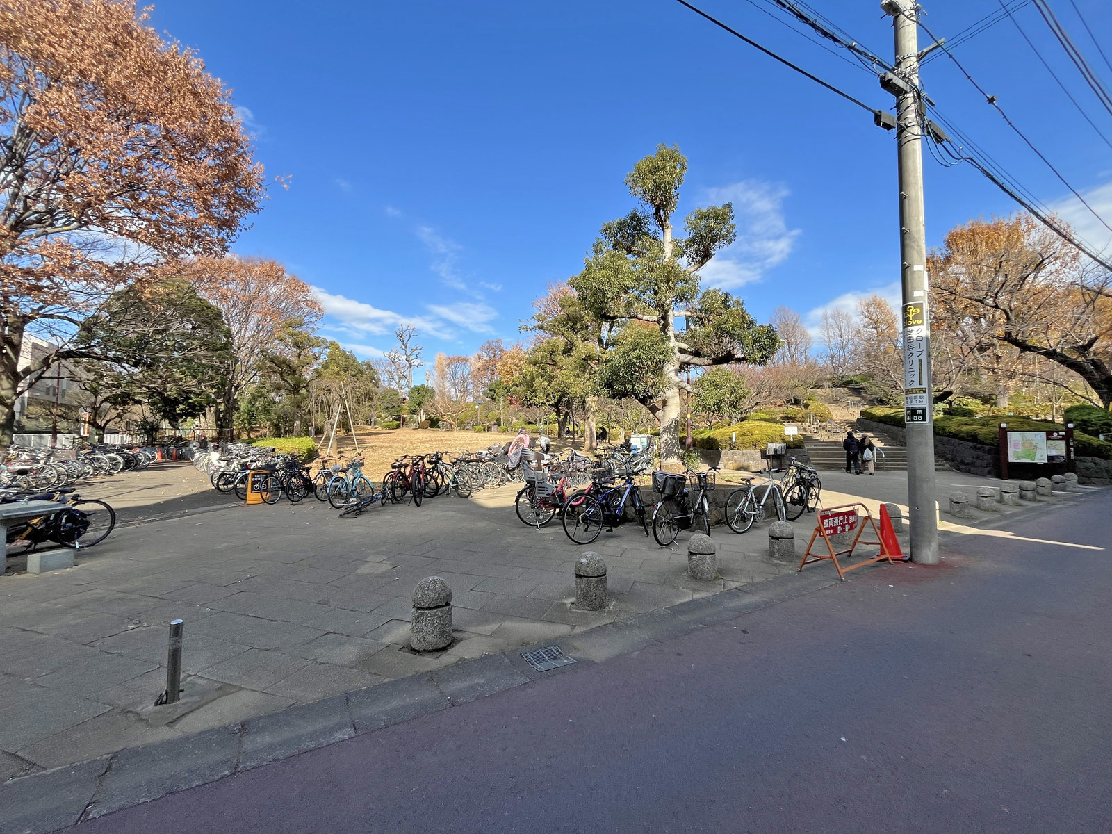 隣の羽根木公園