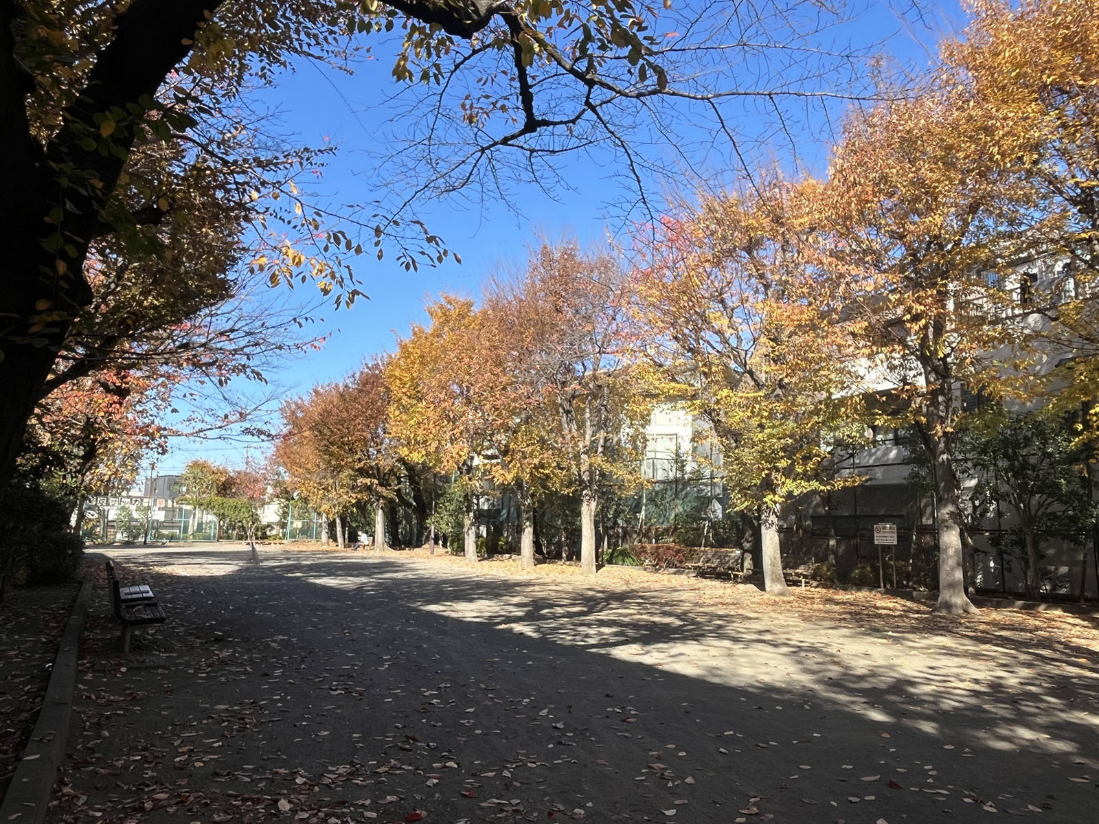 通り沿いの南烏山りんれい広場