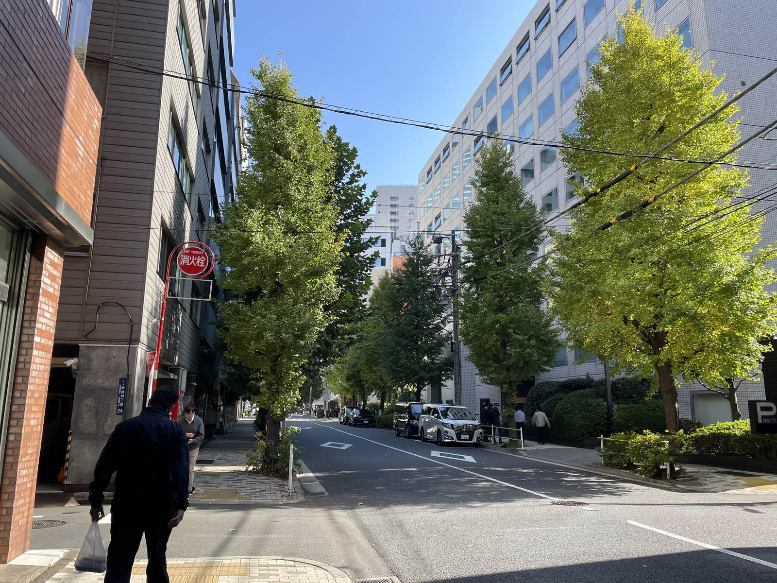 鈴仙ビル前面の通り