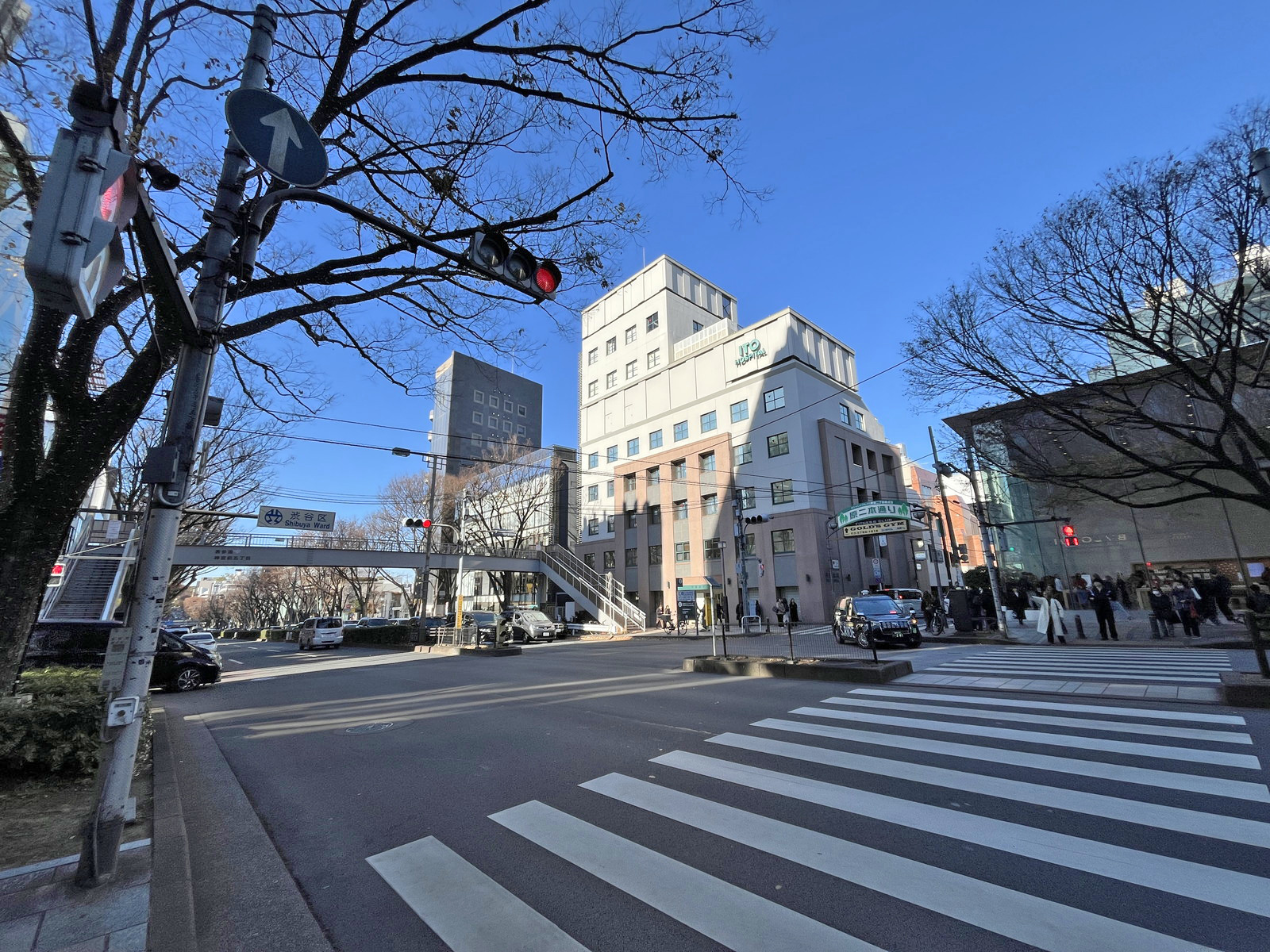 第21SYビル前面の表参道