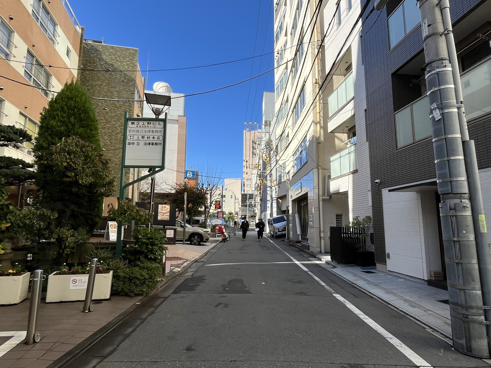 第2上野ビル前面のくすのき通り