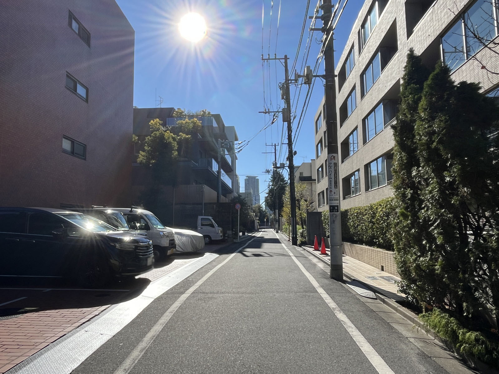 ローヤル若葉前面の通り