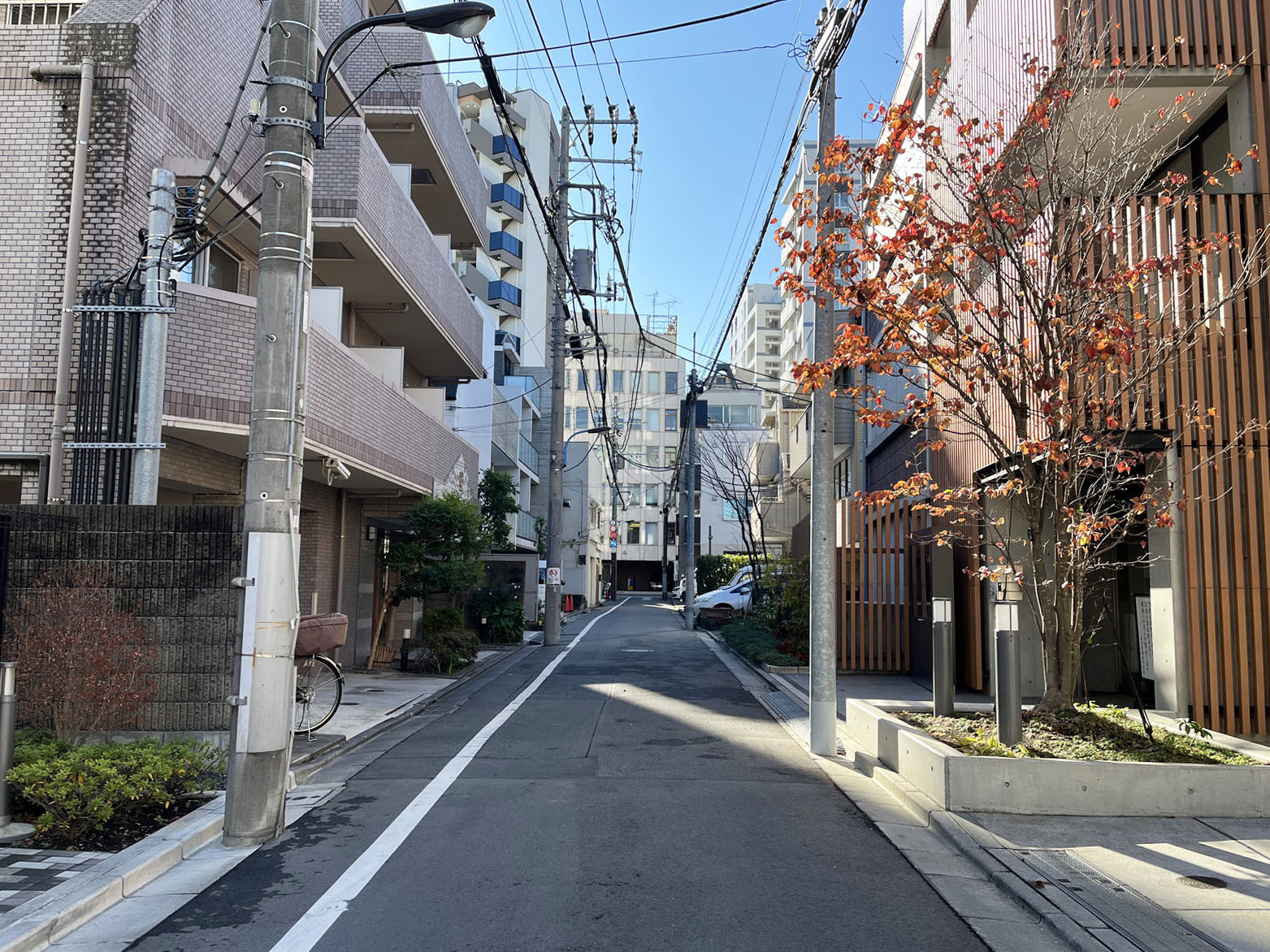 フォーレスト四谷前面の通り