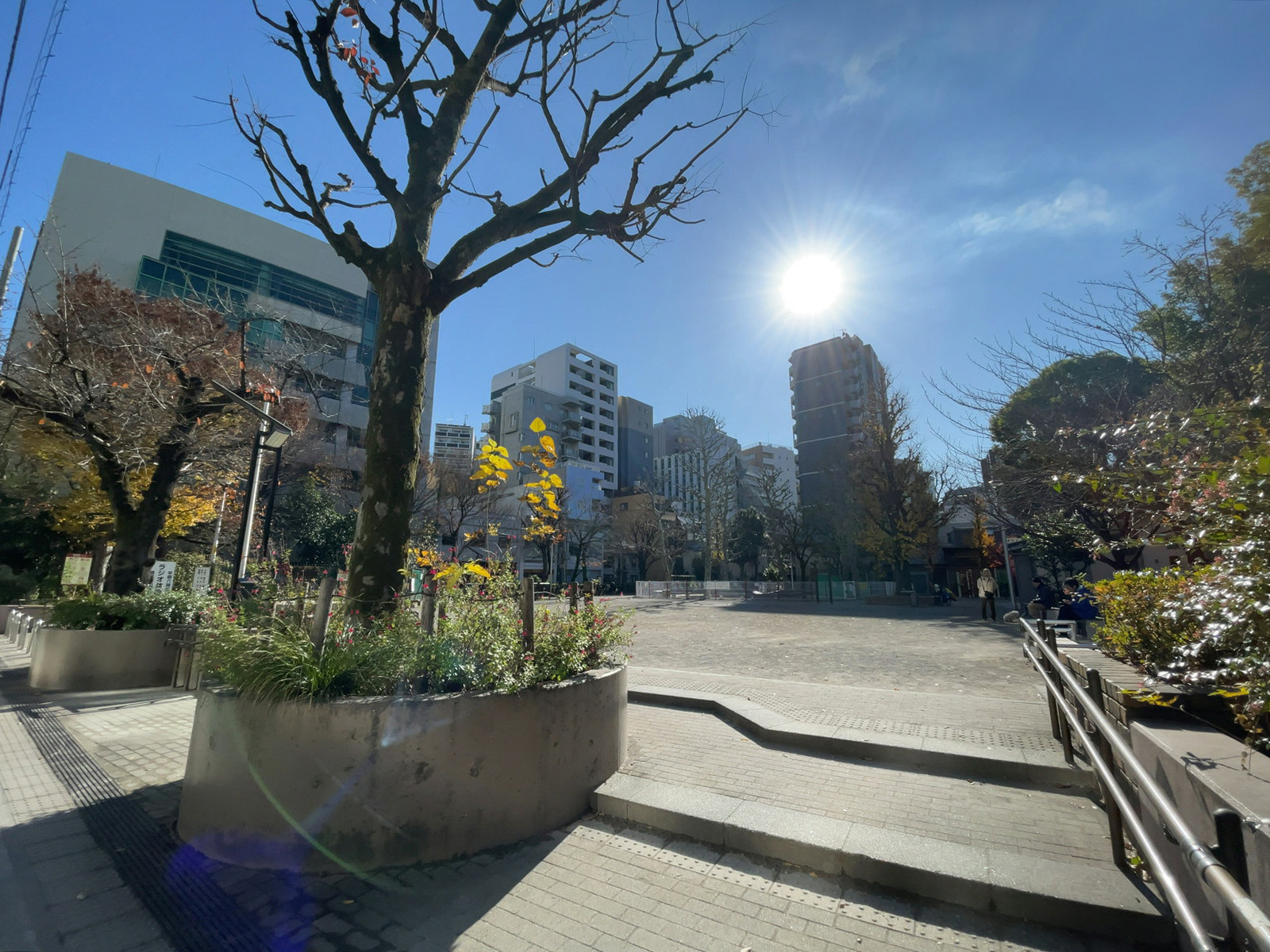 徒歩4分の台東区立精華公園