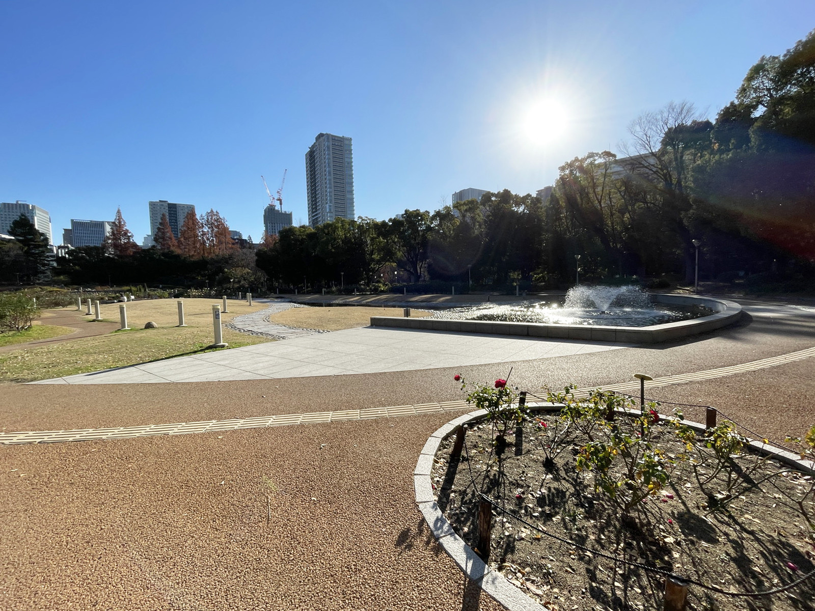 向かいにある靱公園