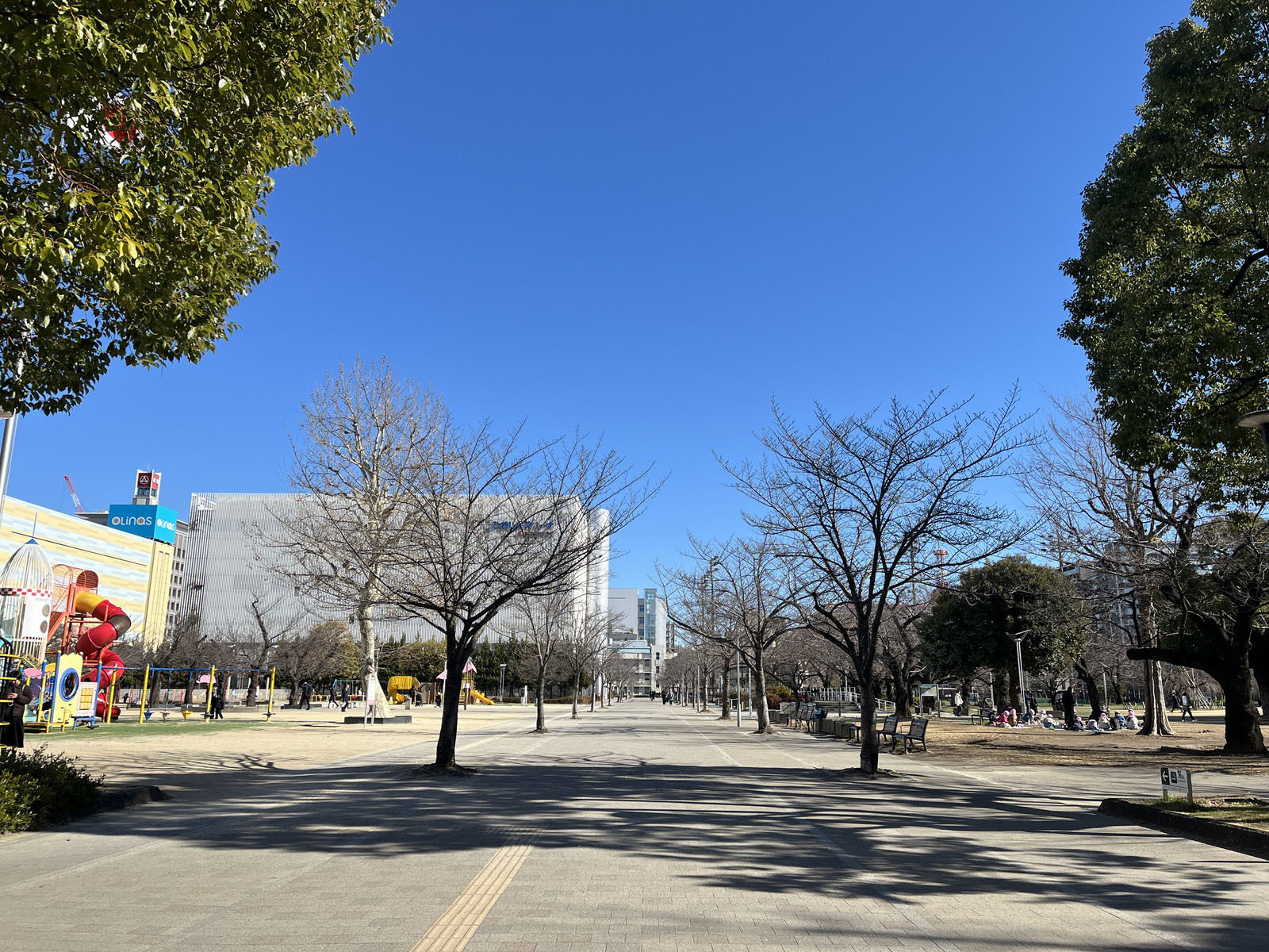 近くの錦糸公園