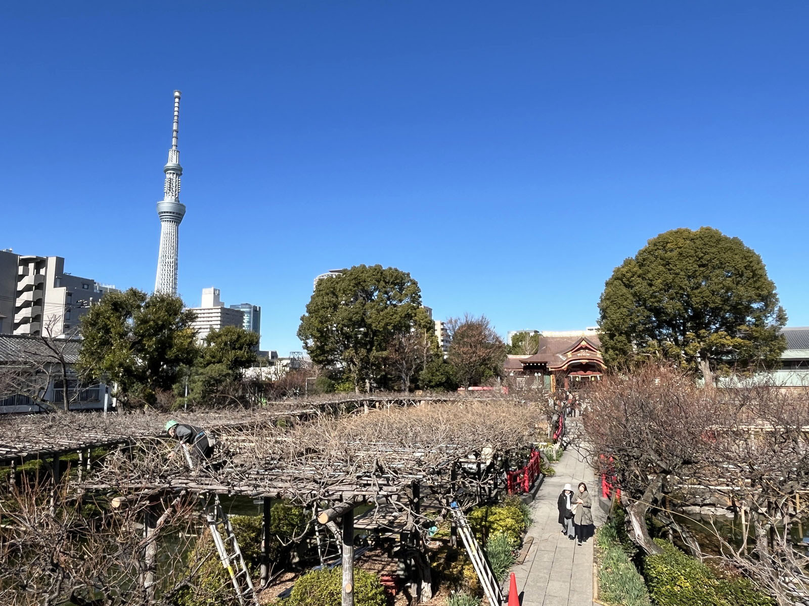 至近の亀戸天神社