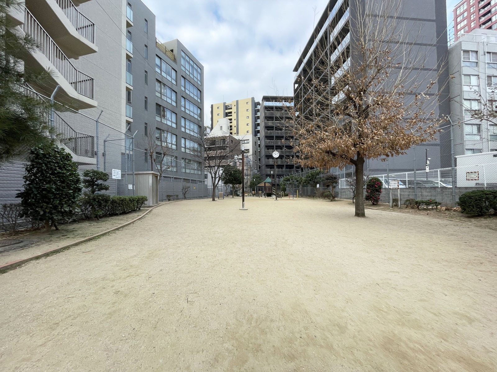 近くの西天満どんぐり公園