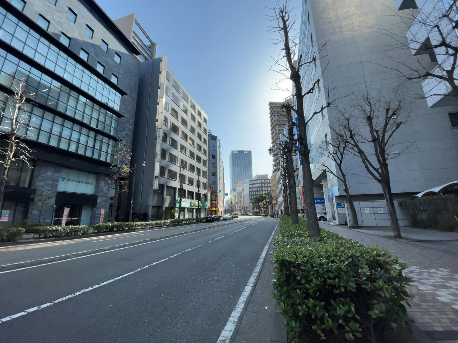 神奈川中小企業センタービル前面の通り