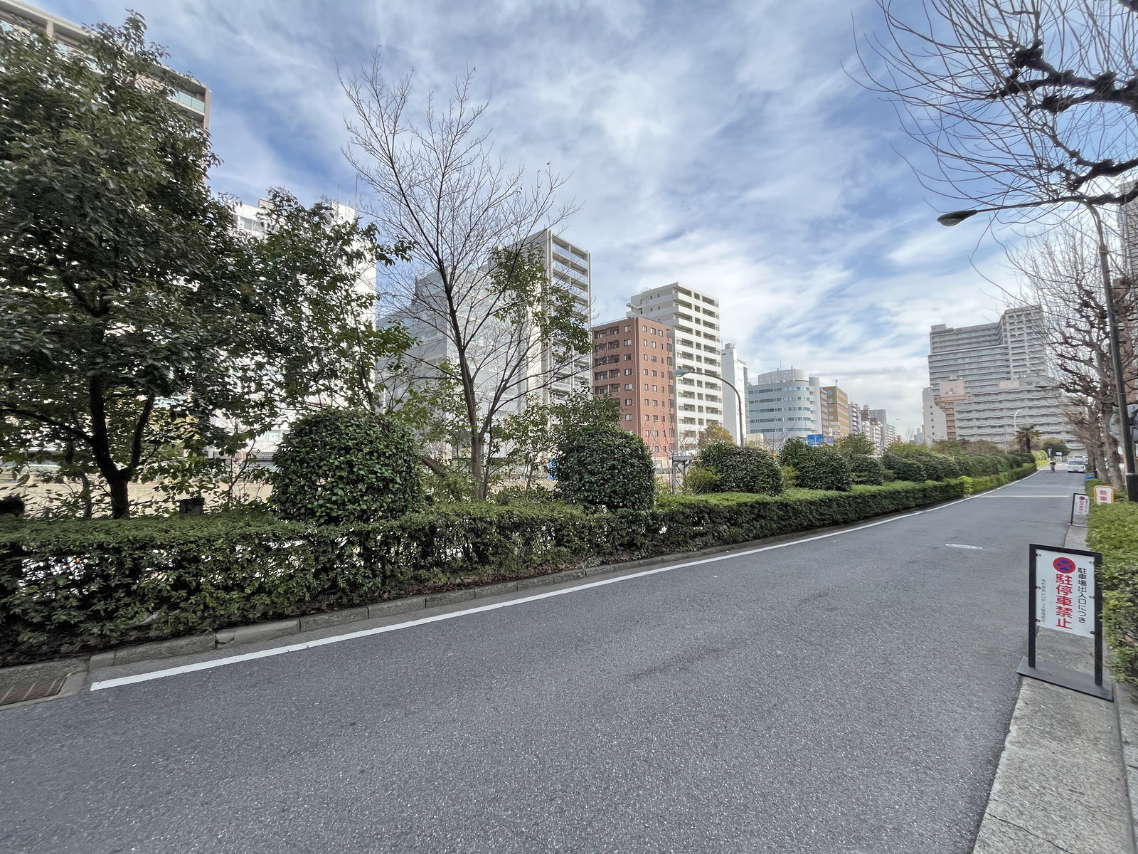 秀和築地レジデンス前面通り