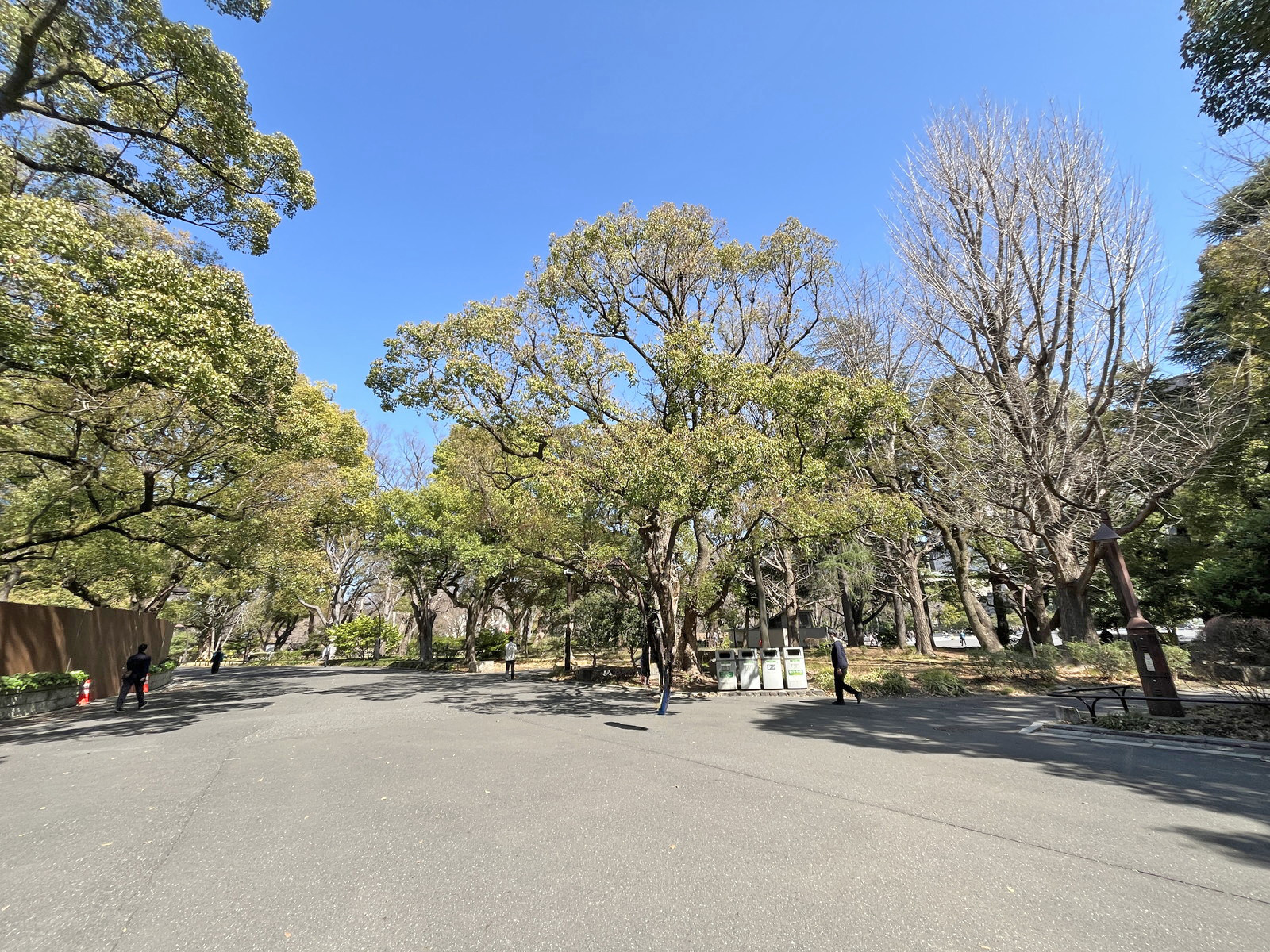 徒歩1分の日比谷公園