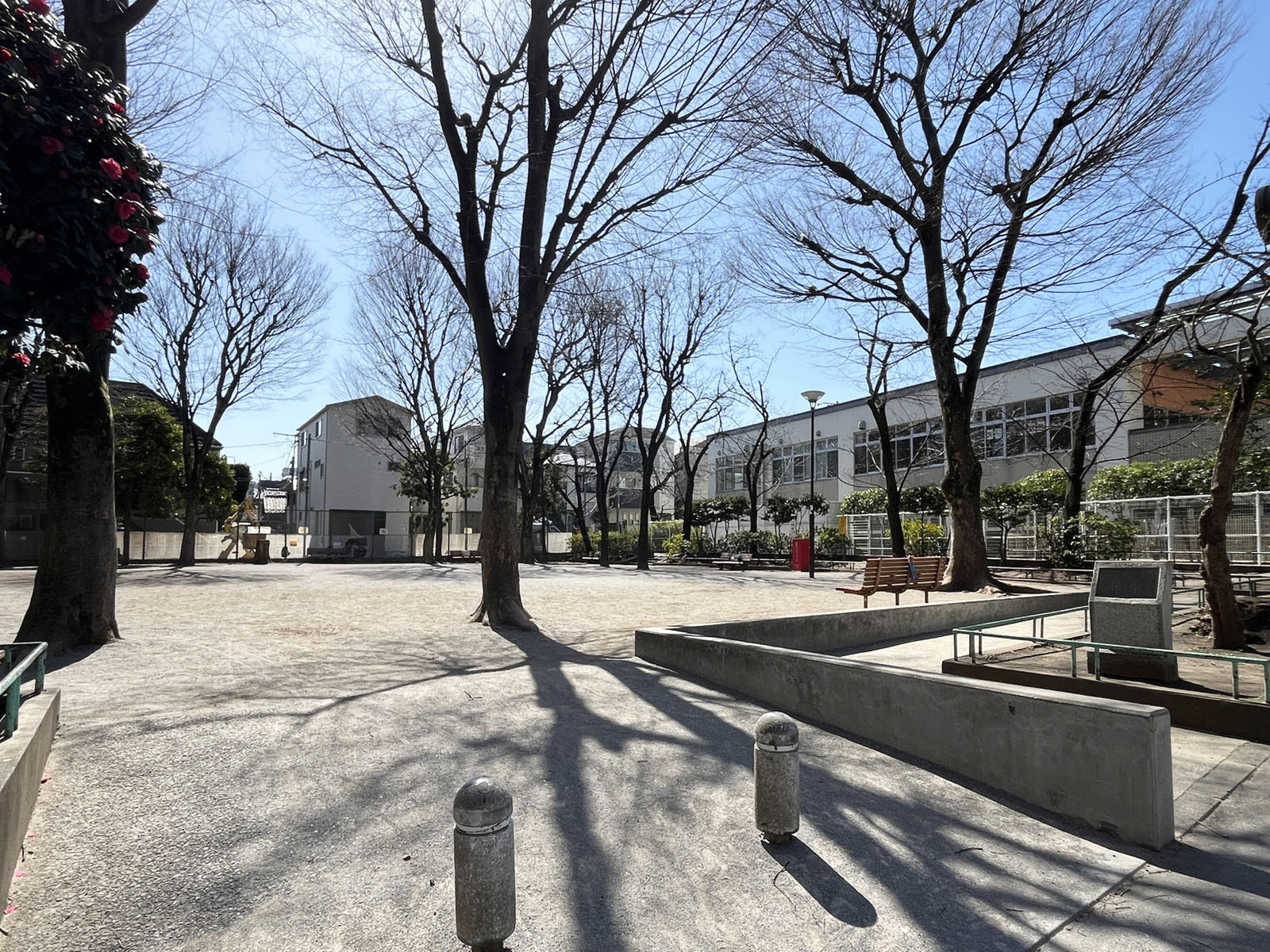 至近の中央公園