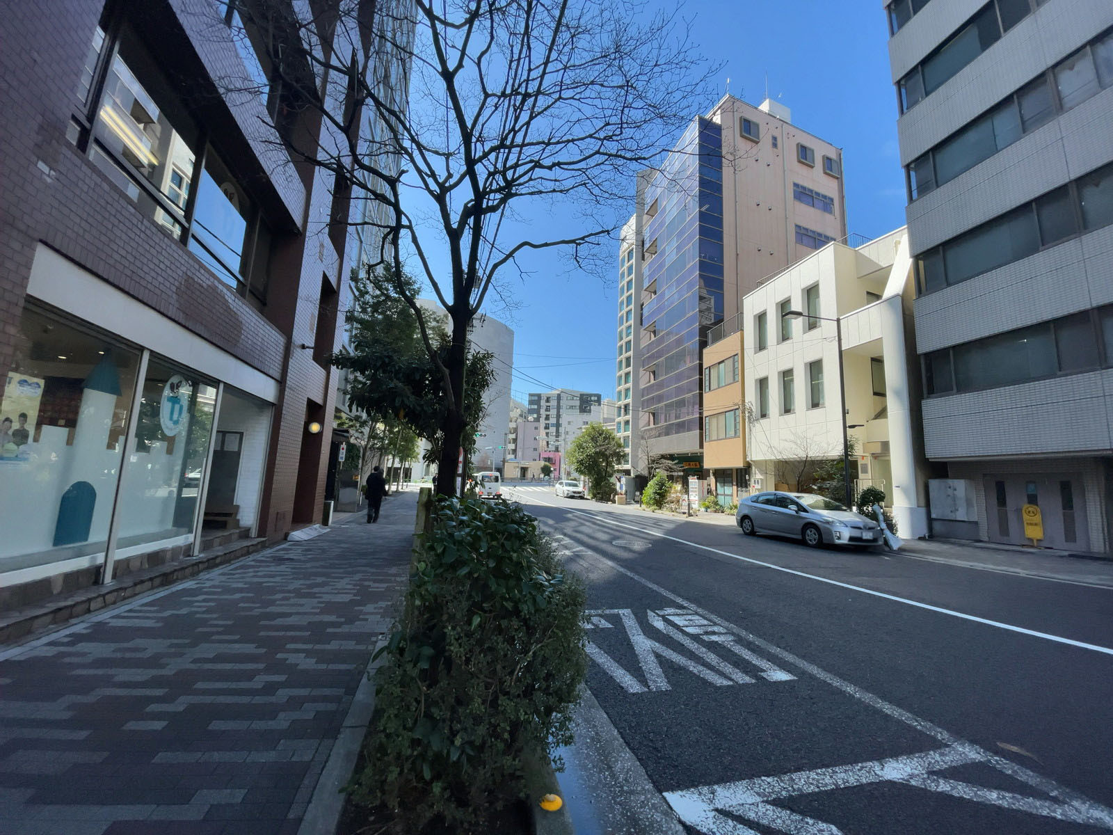 セントラルスクエア前面の通り