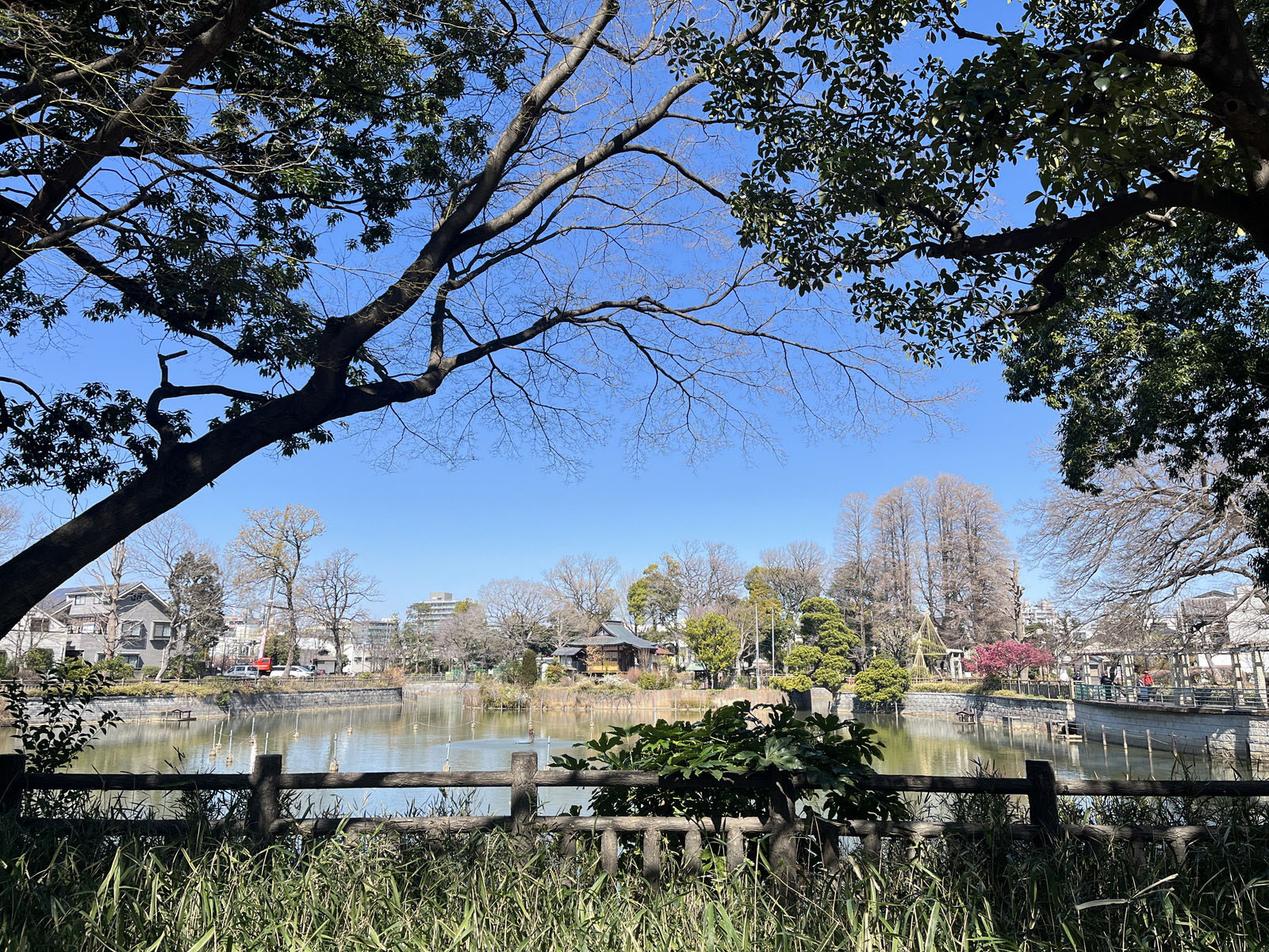 付近の碑文谷公園