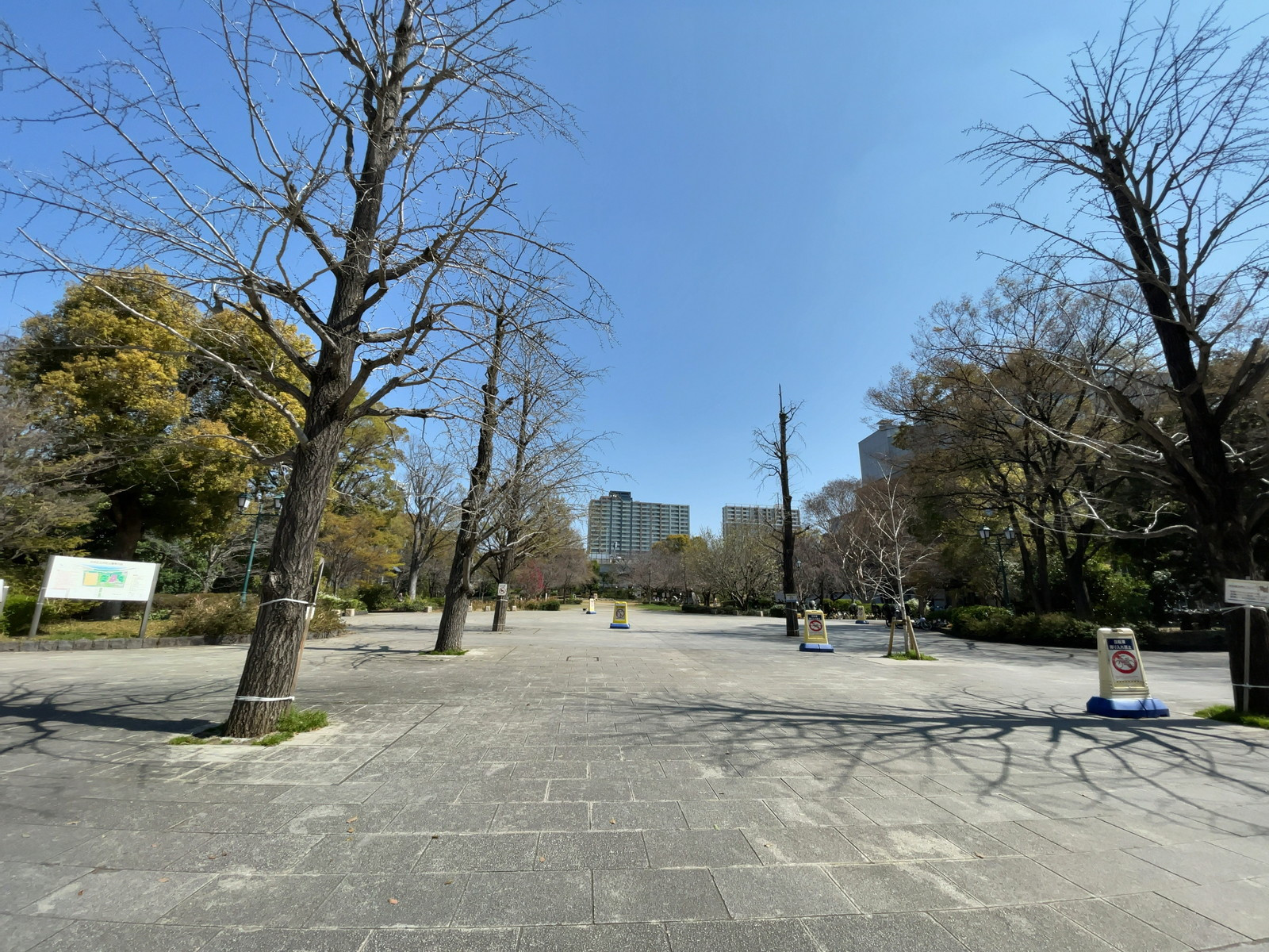 徒歩4分の浜町公園