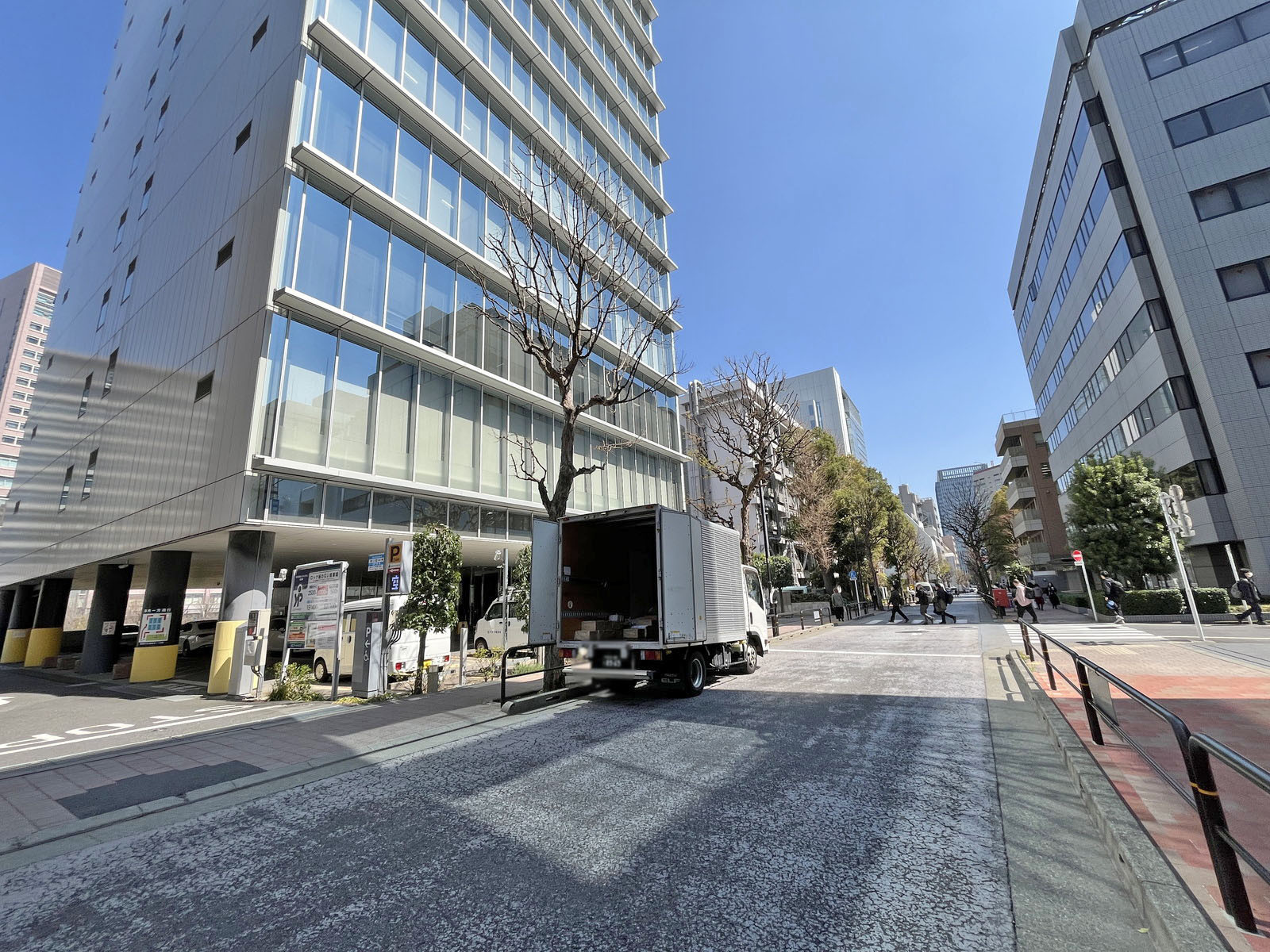 池坊東京会館前面のかえで通り