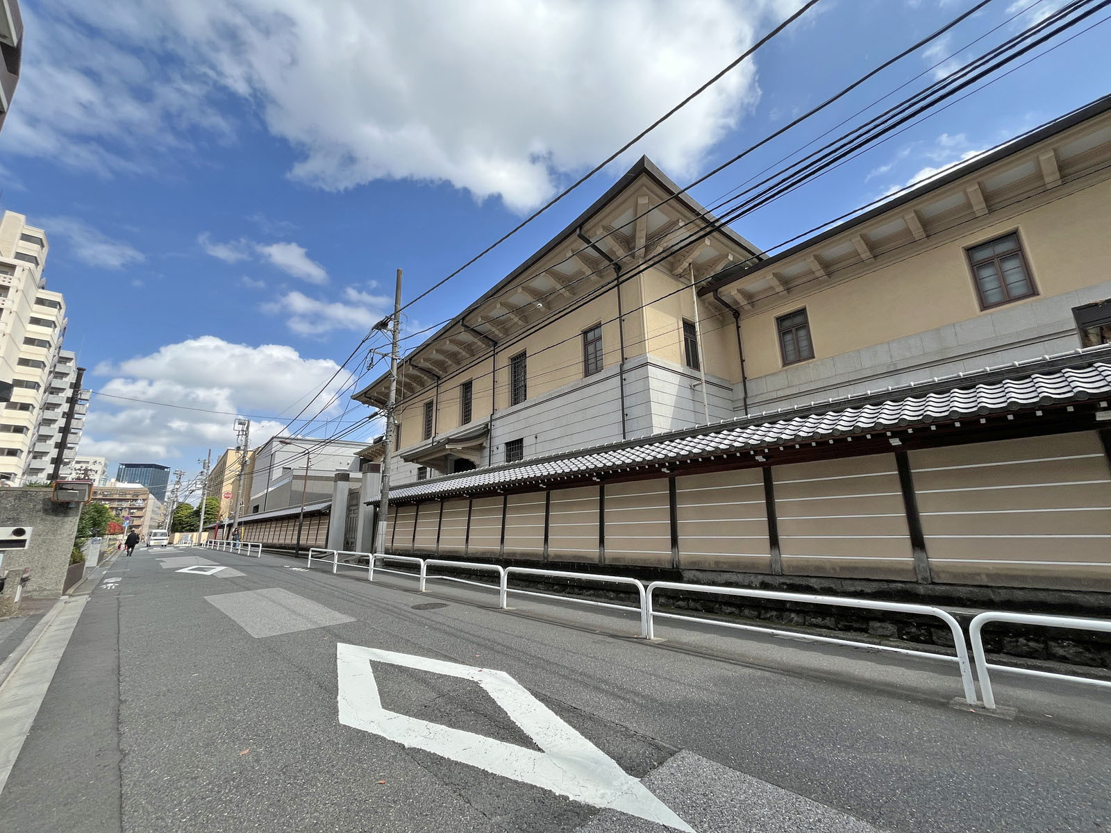 富士見KSビル前面通り