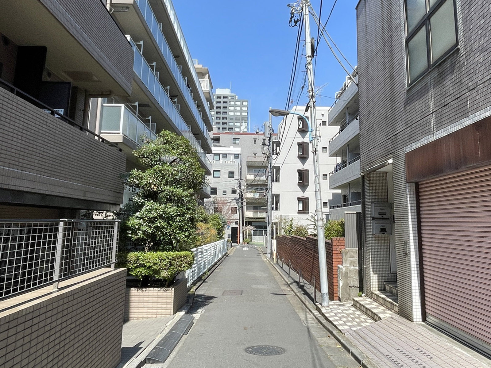 セントヒルズ神楽坂前面の通り