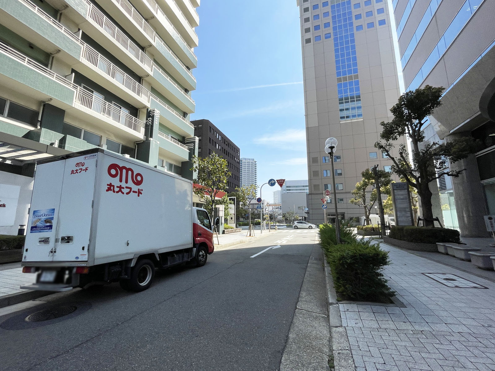 江戸町104前面の通り