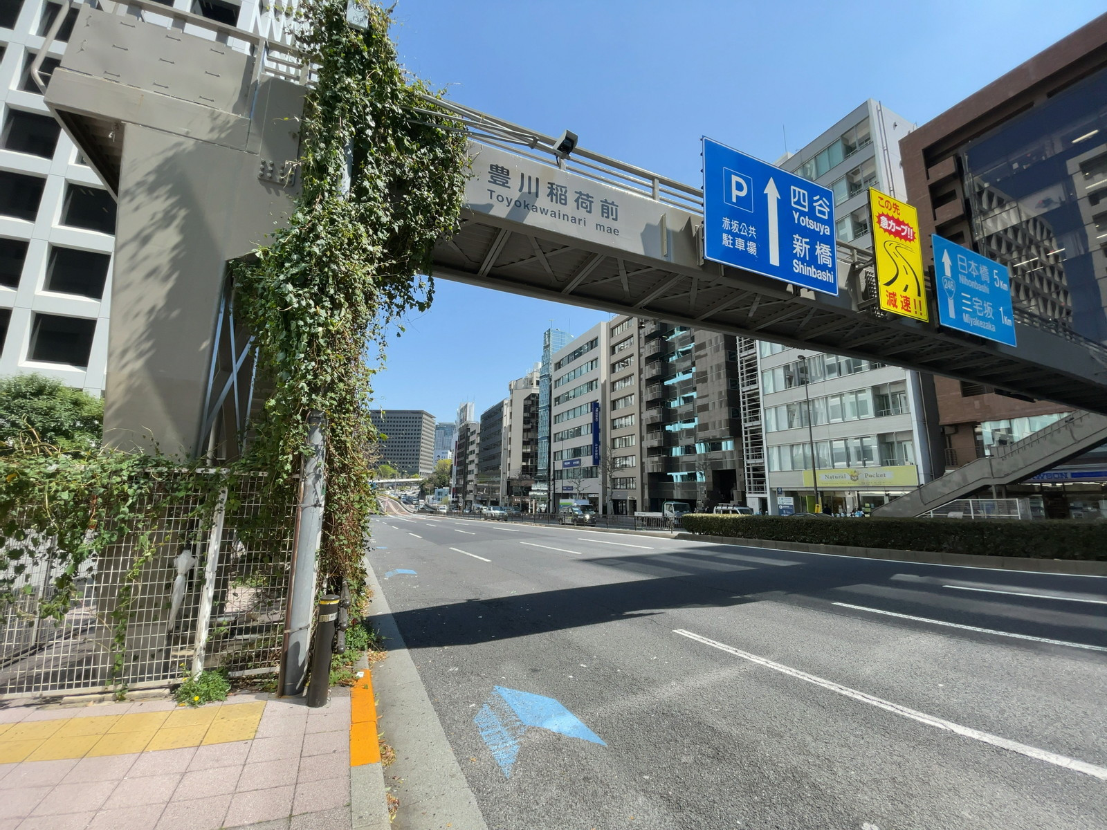 近くの青山通り