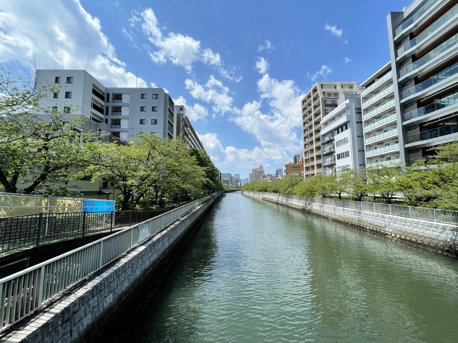 近くの大横川