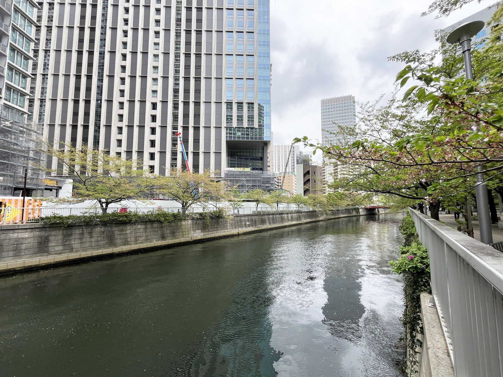 裏の目黒川