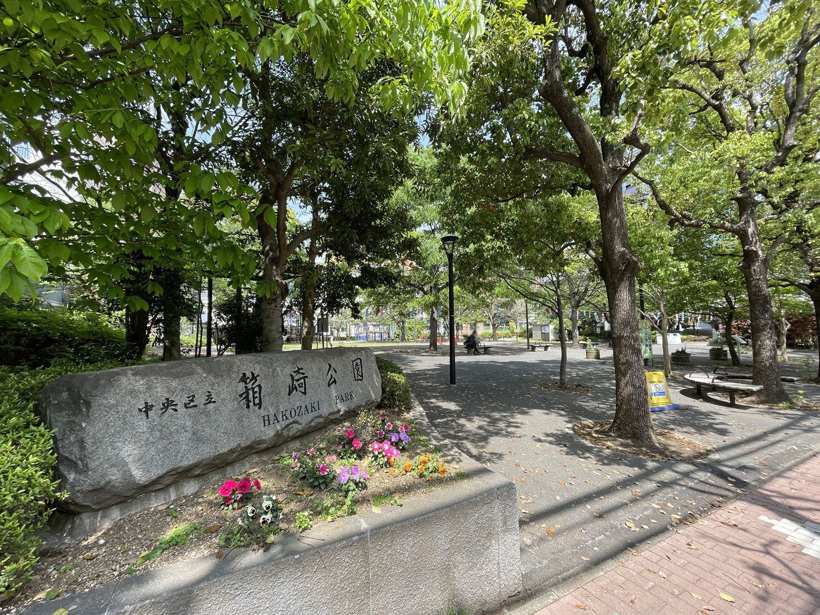 向かいの箱崎公園