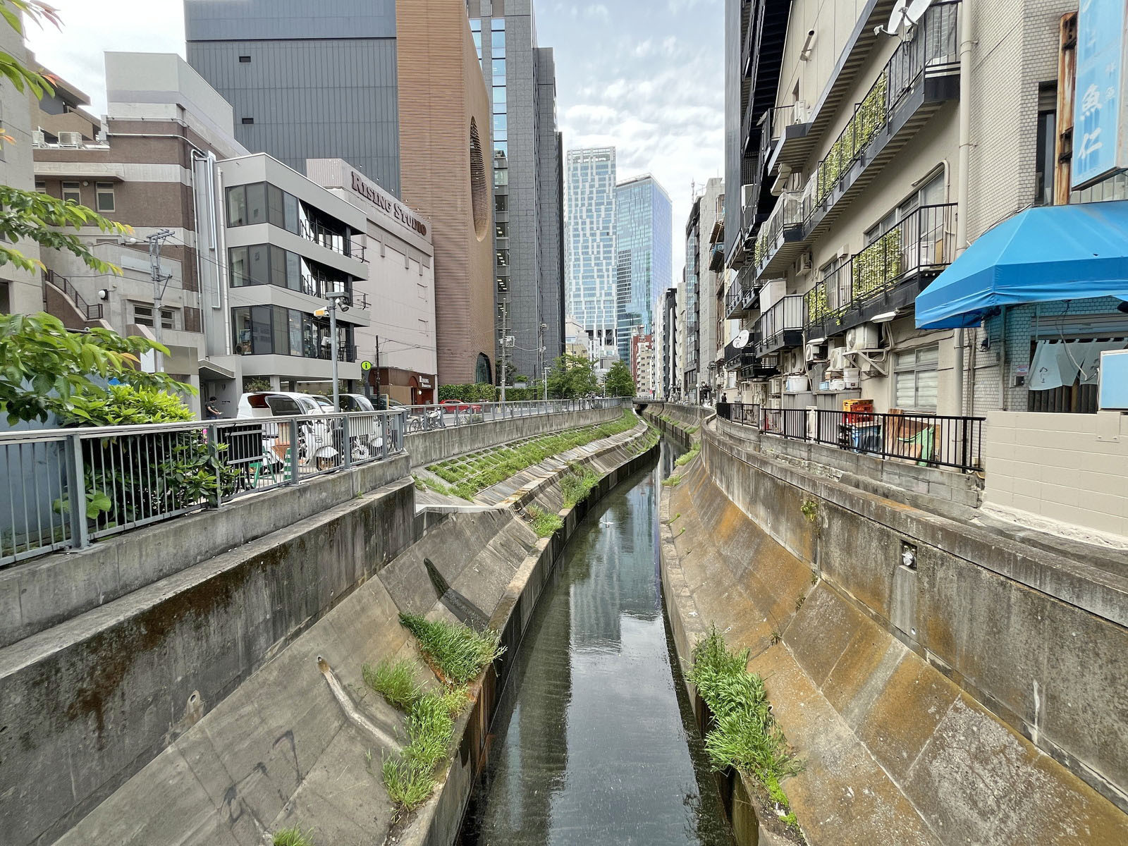 オフィス前を流れる渋谷川