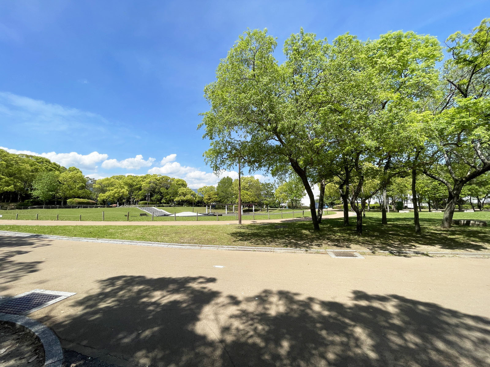 近くの中公園 (原口記念公園)