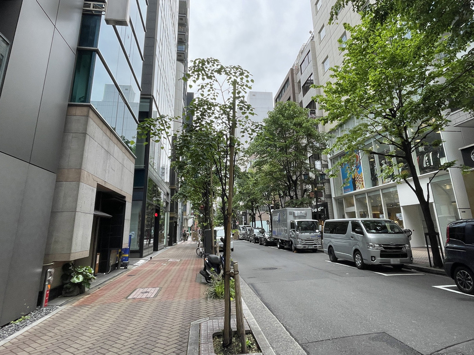 ドゥーミラン銀座ビル前面の銀座桜通り