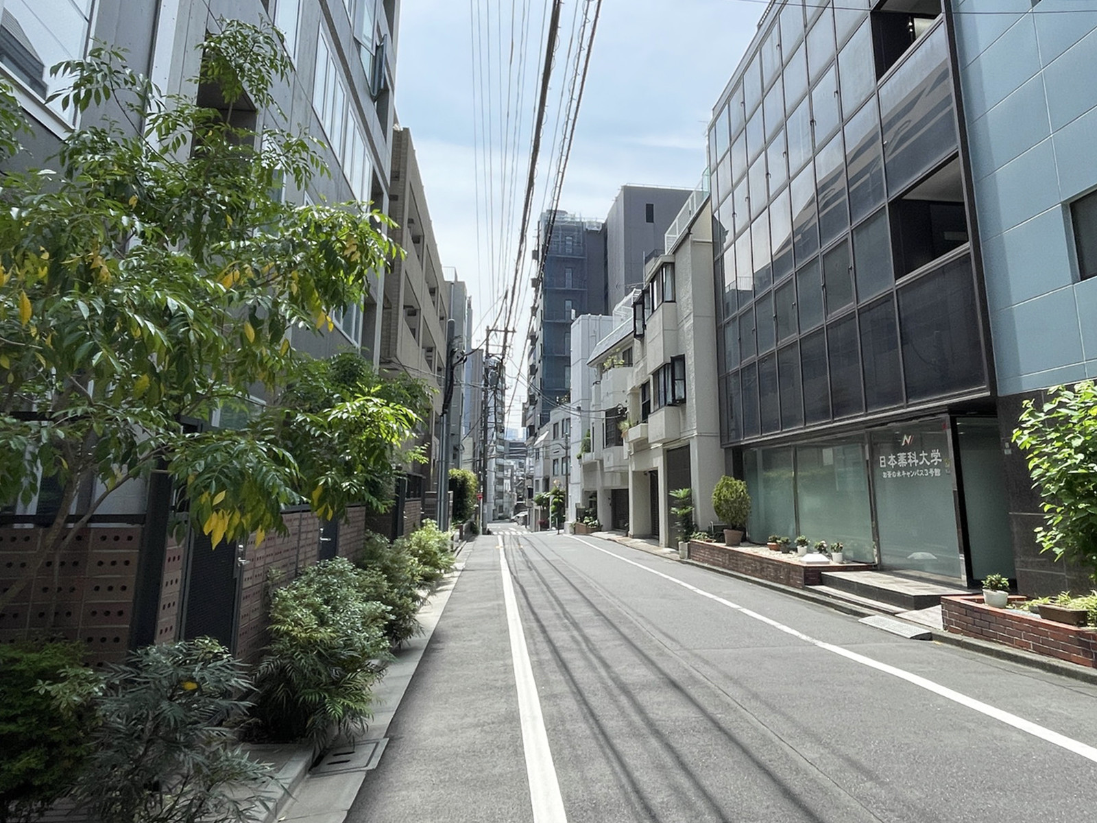 山長ビル前面の通り