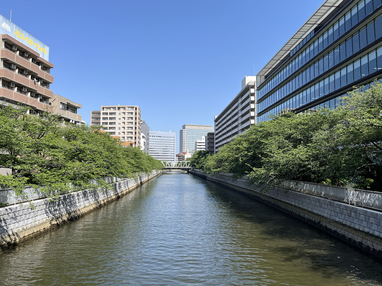 近くを流れる大横川