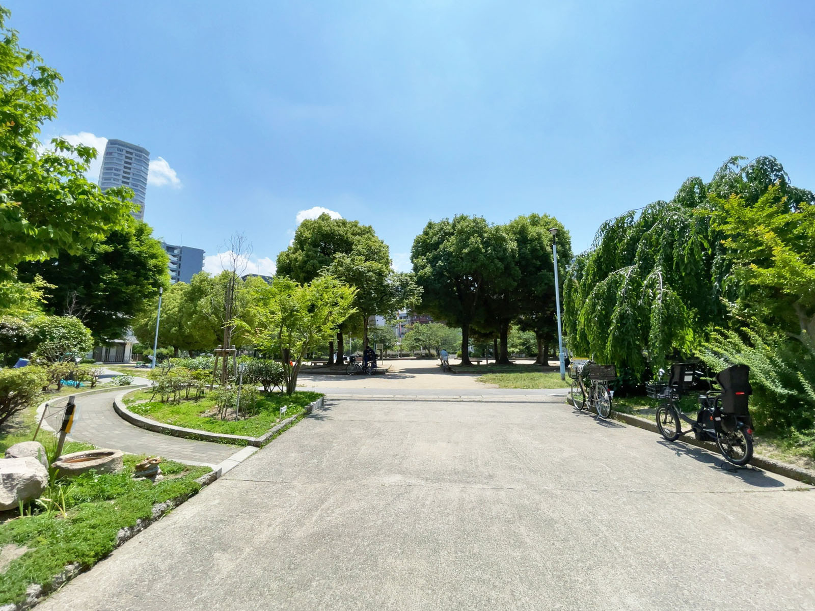 近くの中大江公園