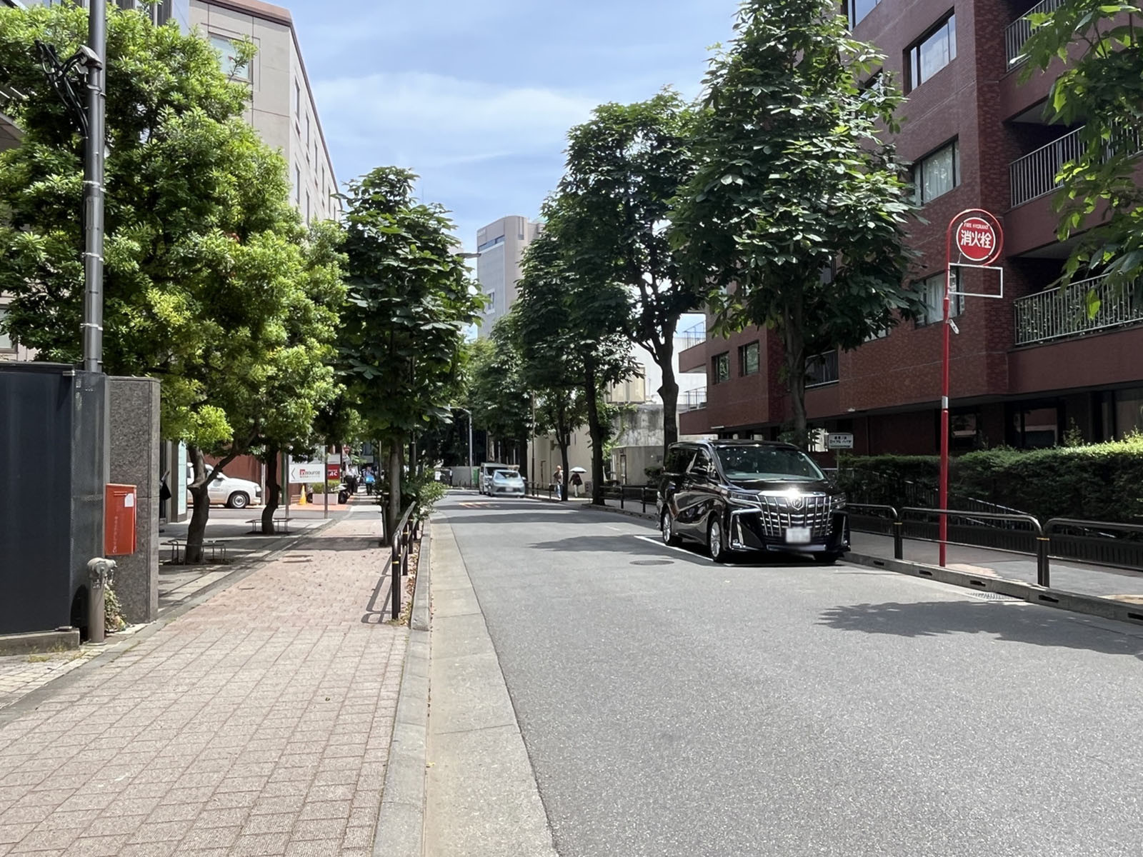 駿河台フジヴュービル前面のかえで通り