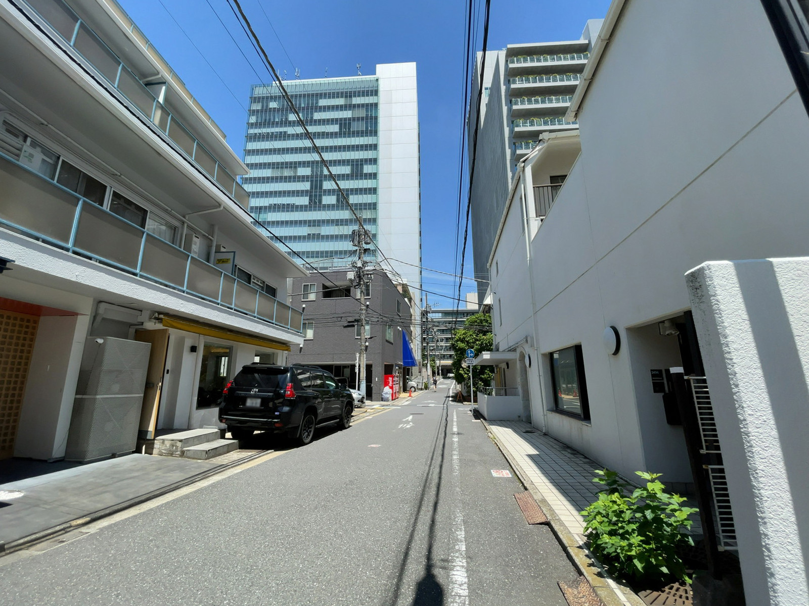 南青山アサヒビル前面の通り