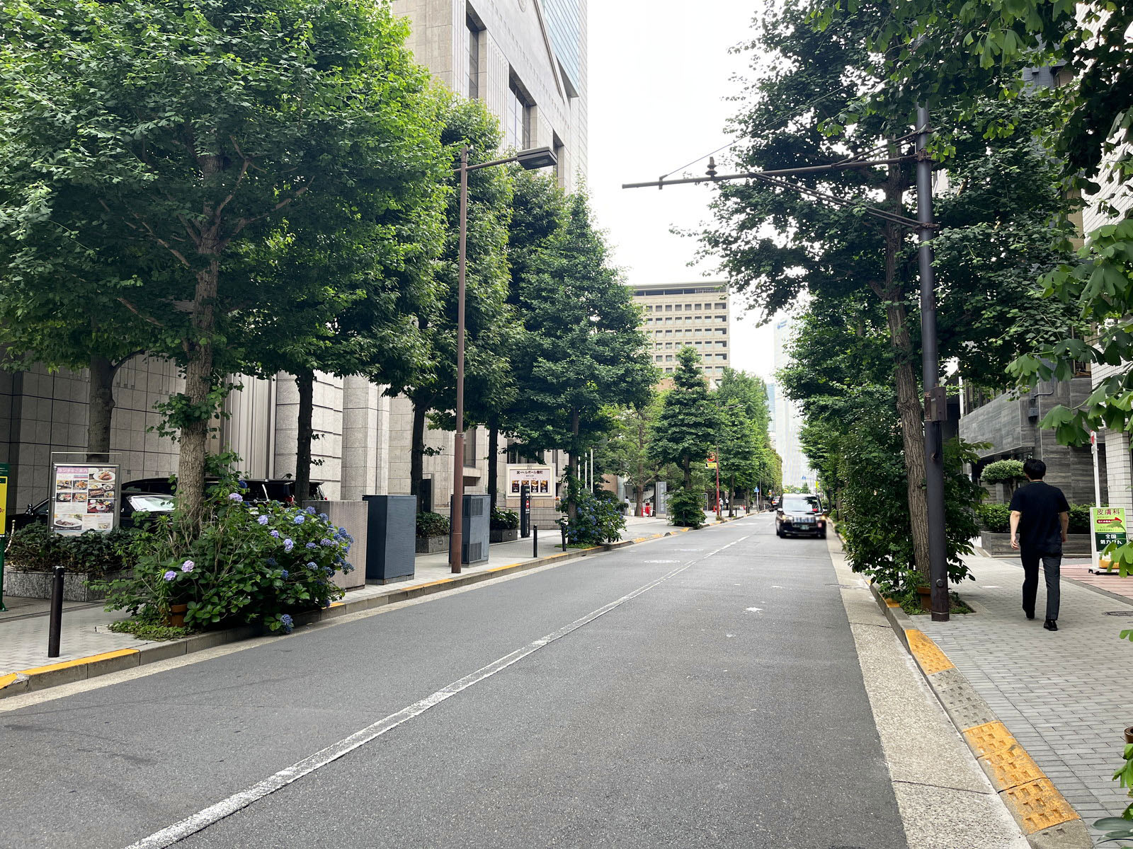 アドミラル紀尾井町ビル前面のプリンス通り