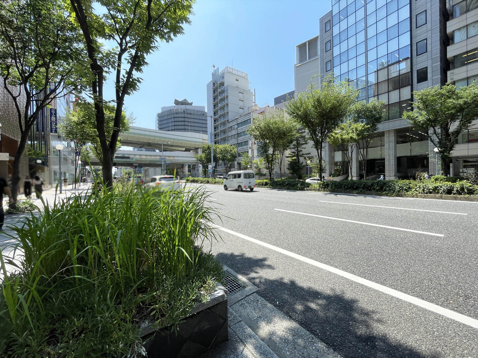 MF桜橋ビル前面の通り