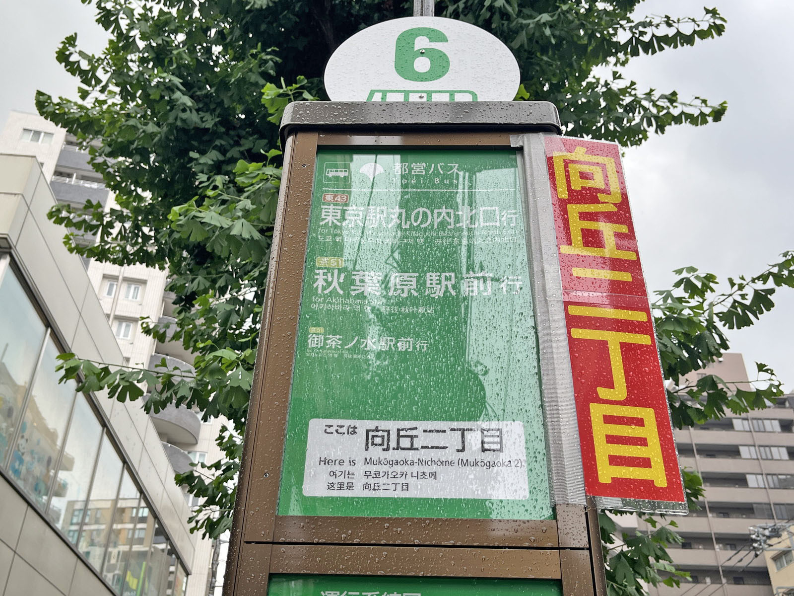 ビル前のバス停「向丘二丁目」