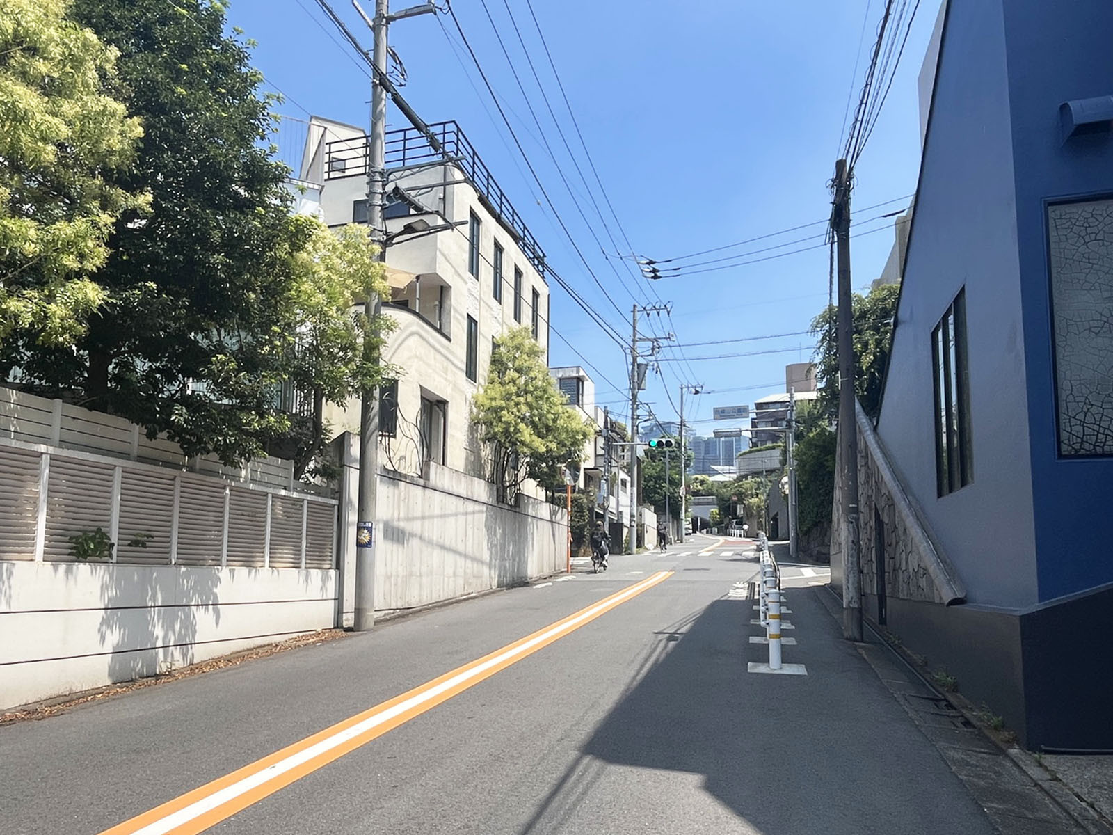 ヴィラ青葉台前面の野沢通り