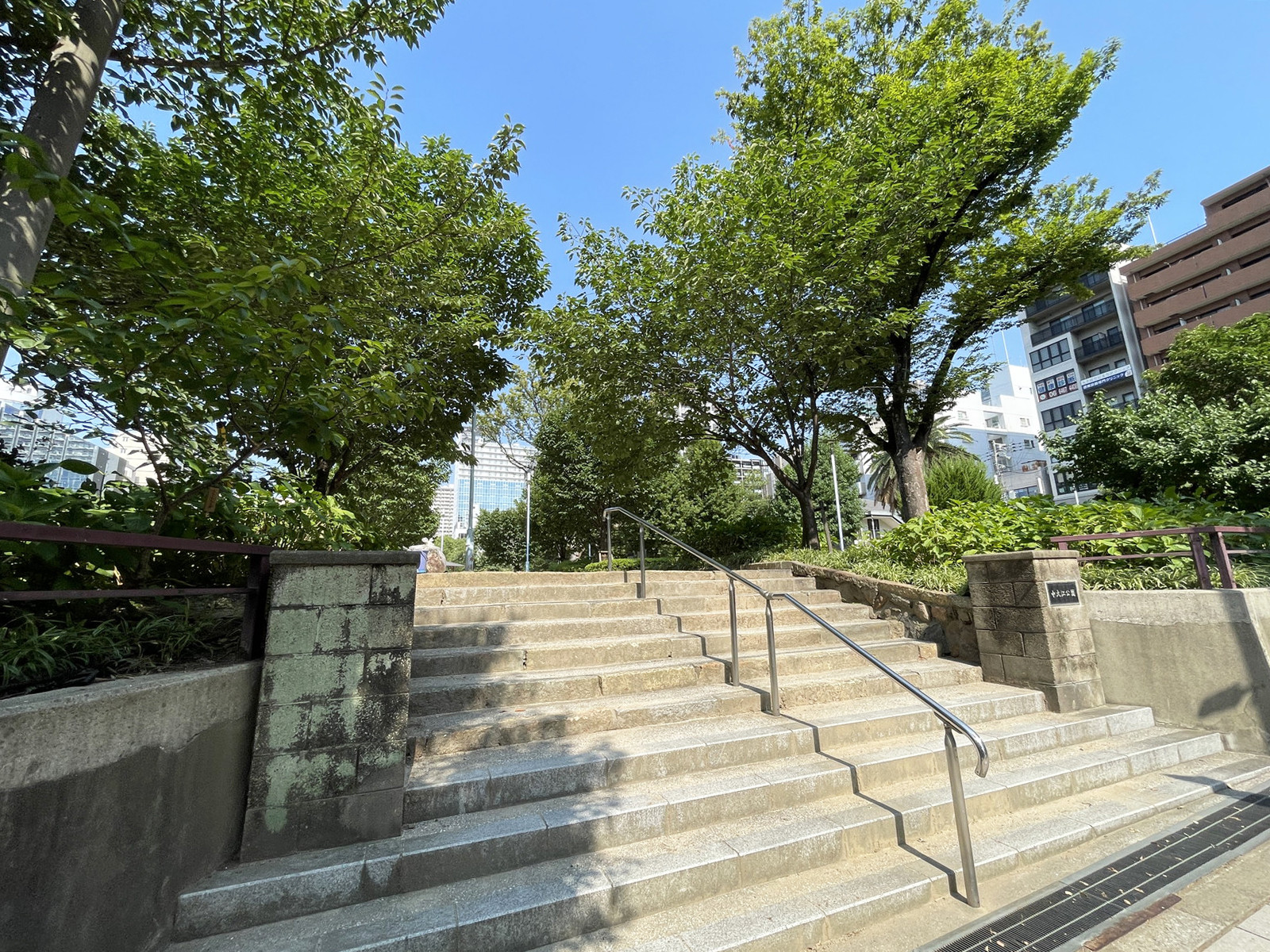 近くの中大江公園