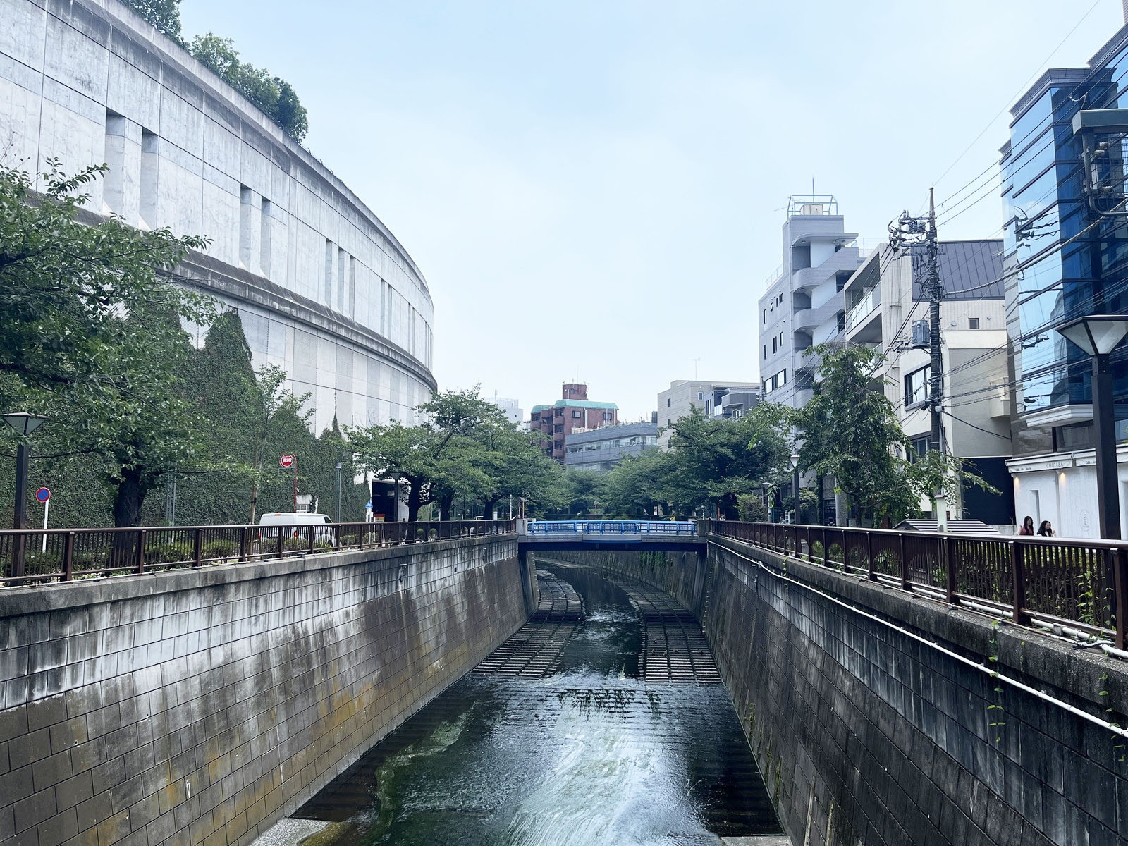 近くの目黒川