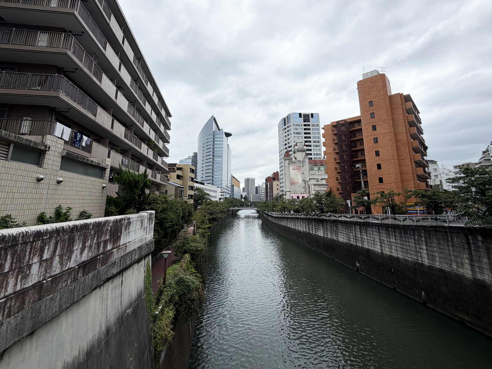 近くの目黒川