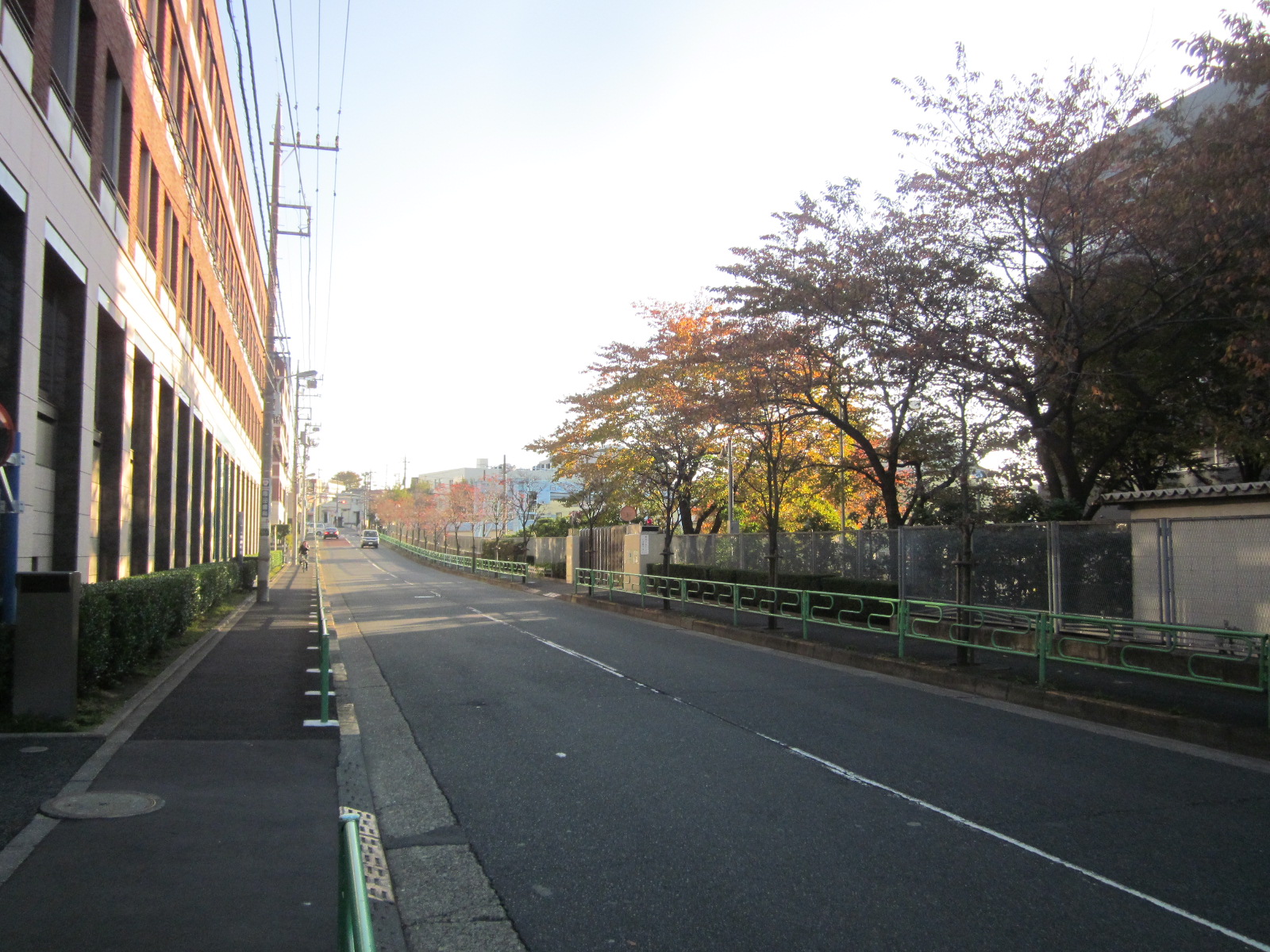 ビル前面道路