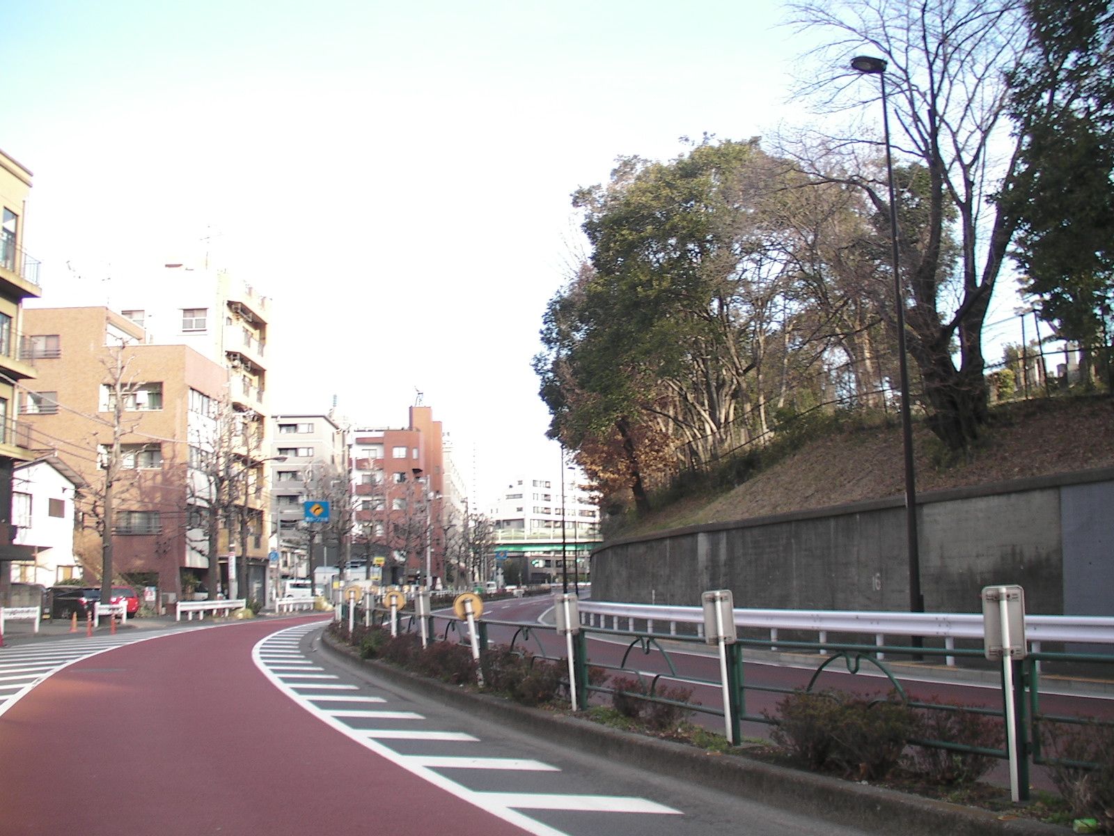 目の前の青山霊園